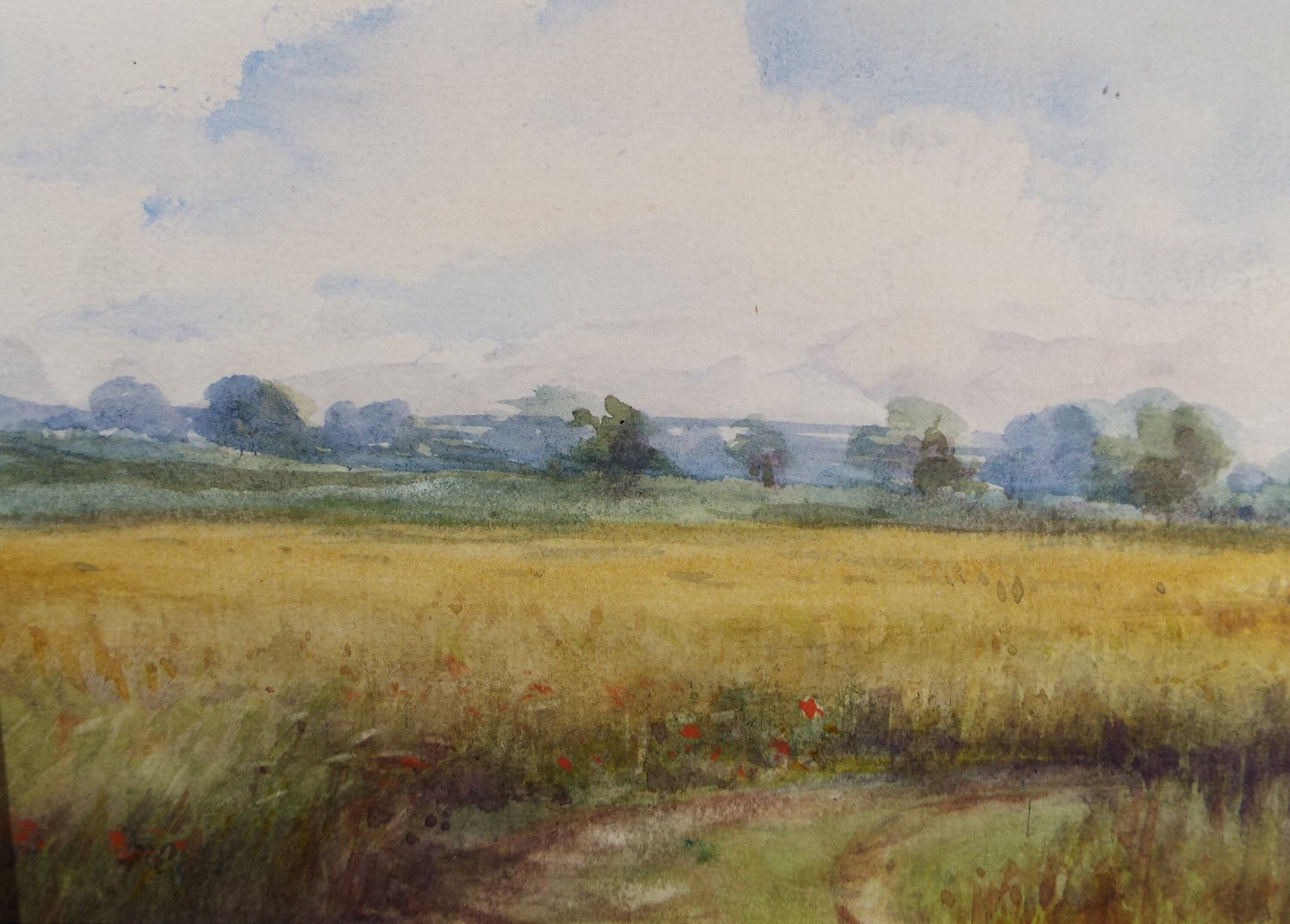 Original Watercolour Sketch, 'Cornfield with Poppies', c1910, Unknown Artist