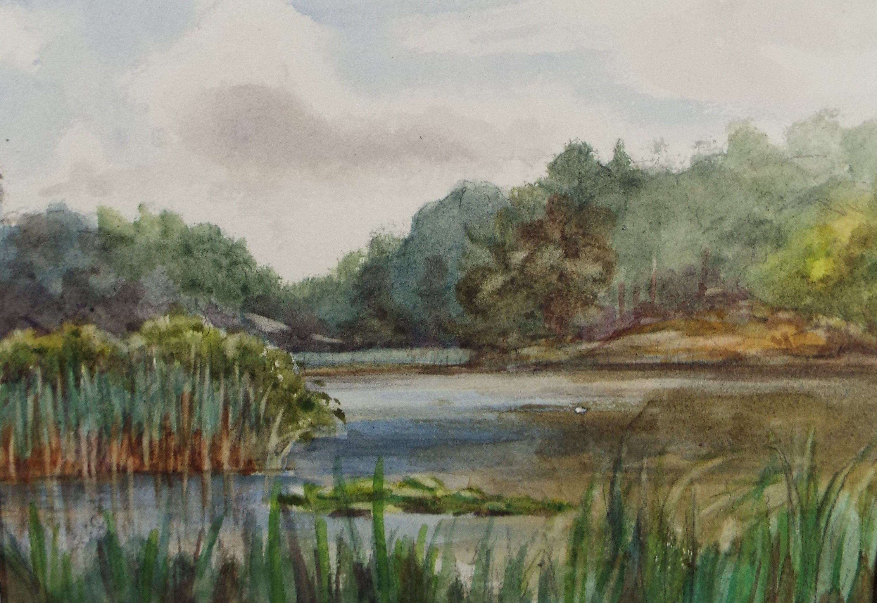 Original Watercolour Sketch, 'Lake with Bull rushes' , c1910, Unknown Artist