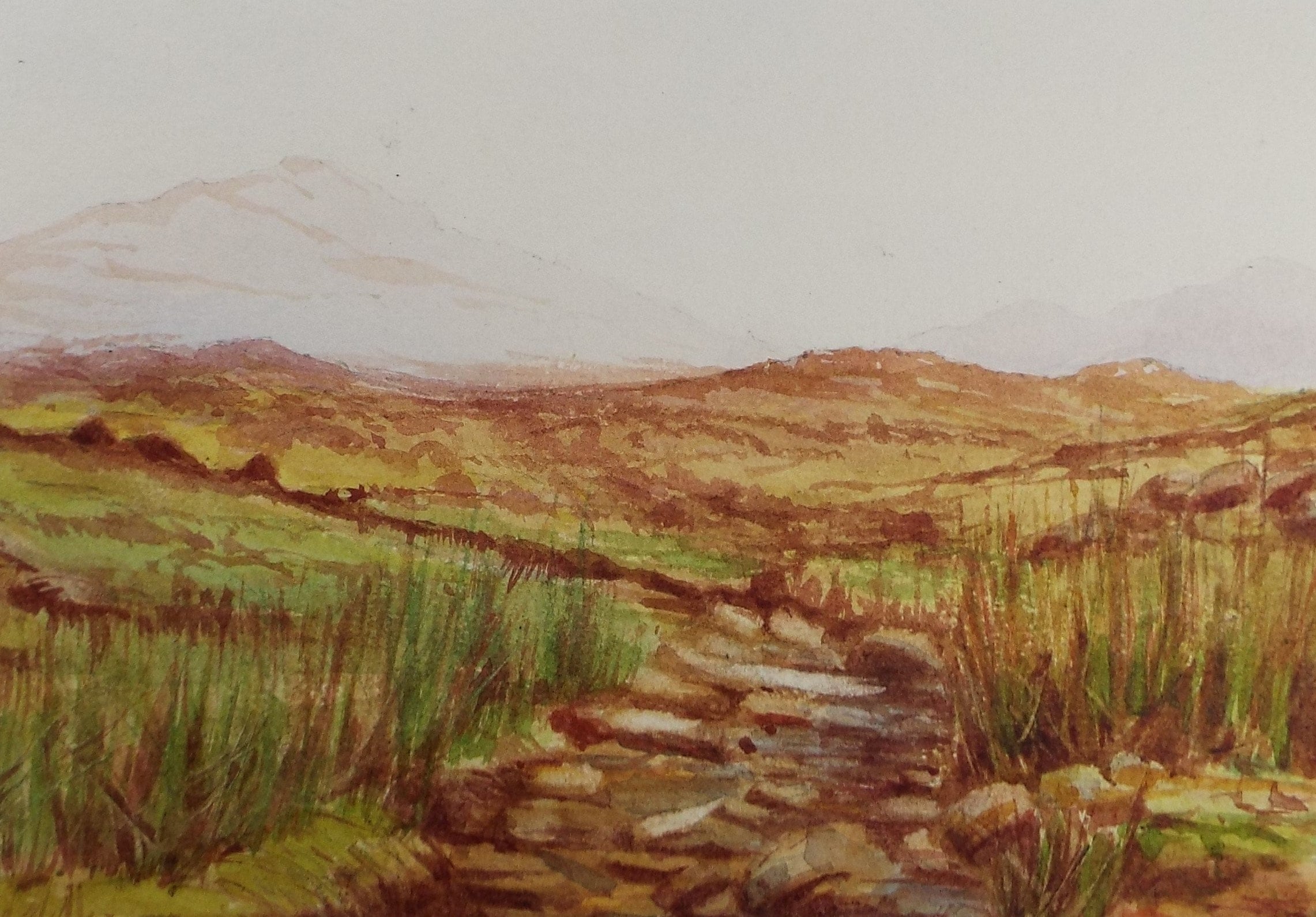 Original Watercolour Sketch, 'Moorland Stream', c1910, Unknown Artist