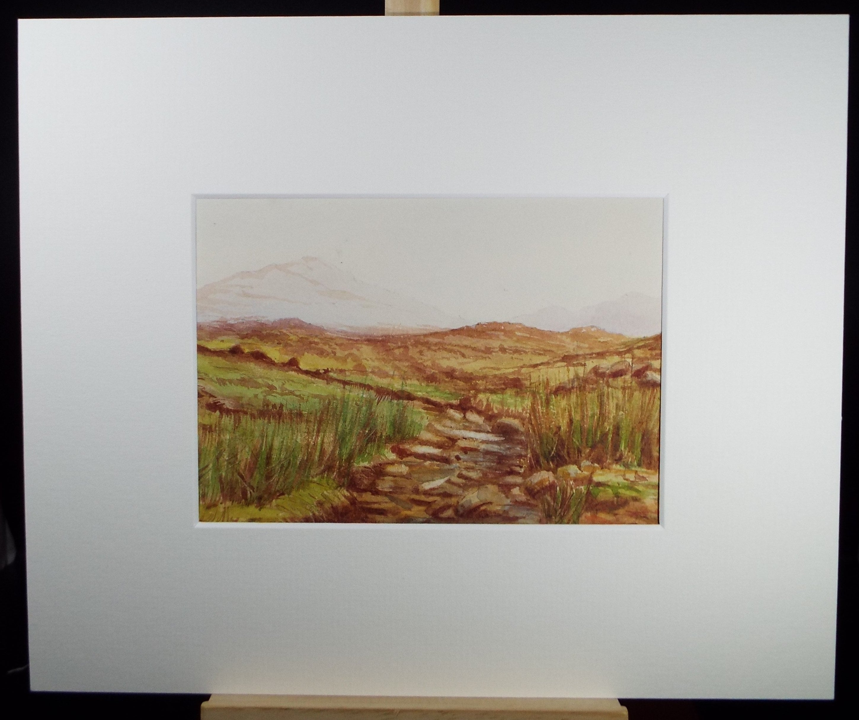 Original Watercolour Sketch, 'Moorland Stream', c1910, Unknown Artist