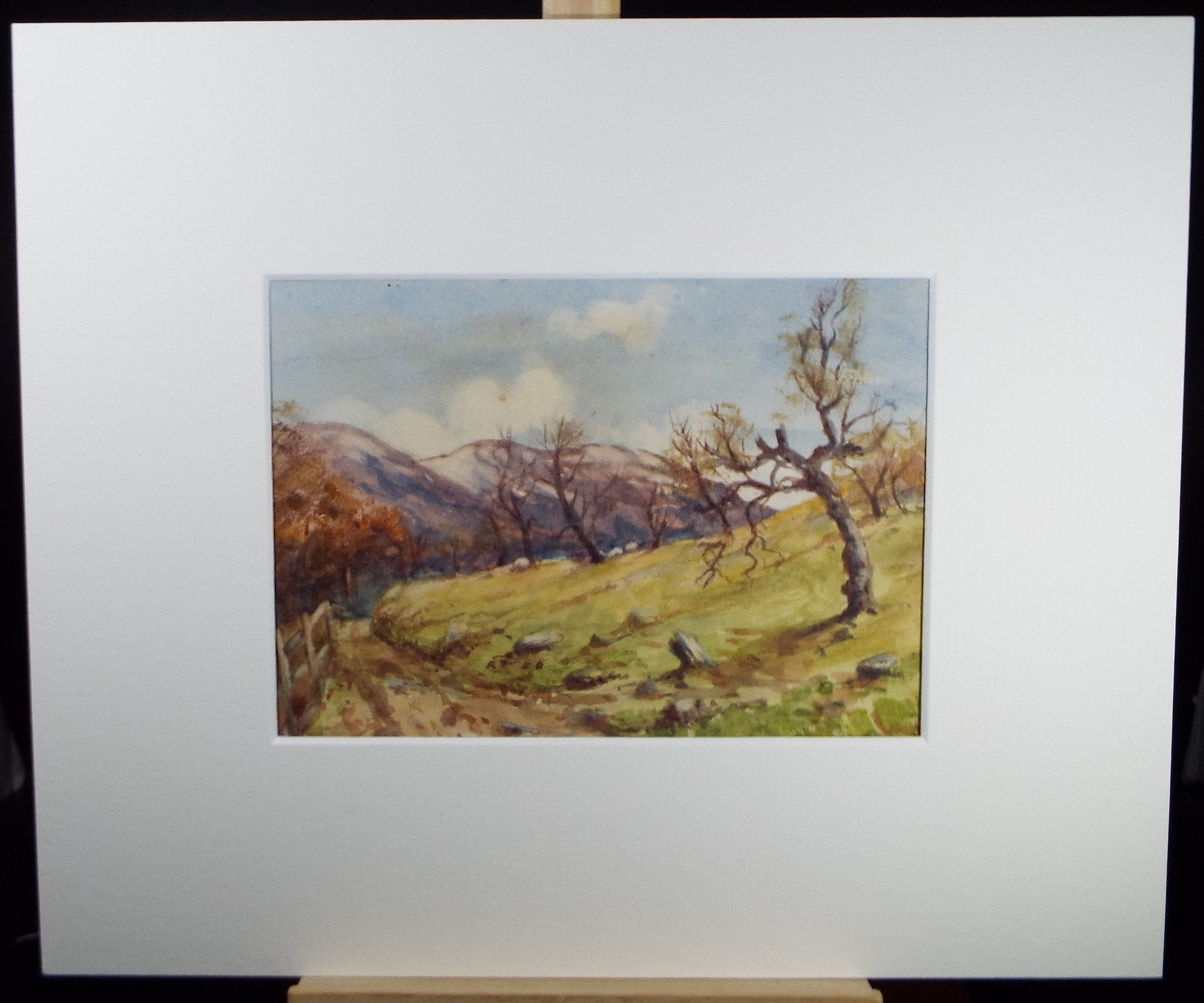 Original Watercolour Sketch, 'Mountainous Track', c1910, Unknown Artist