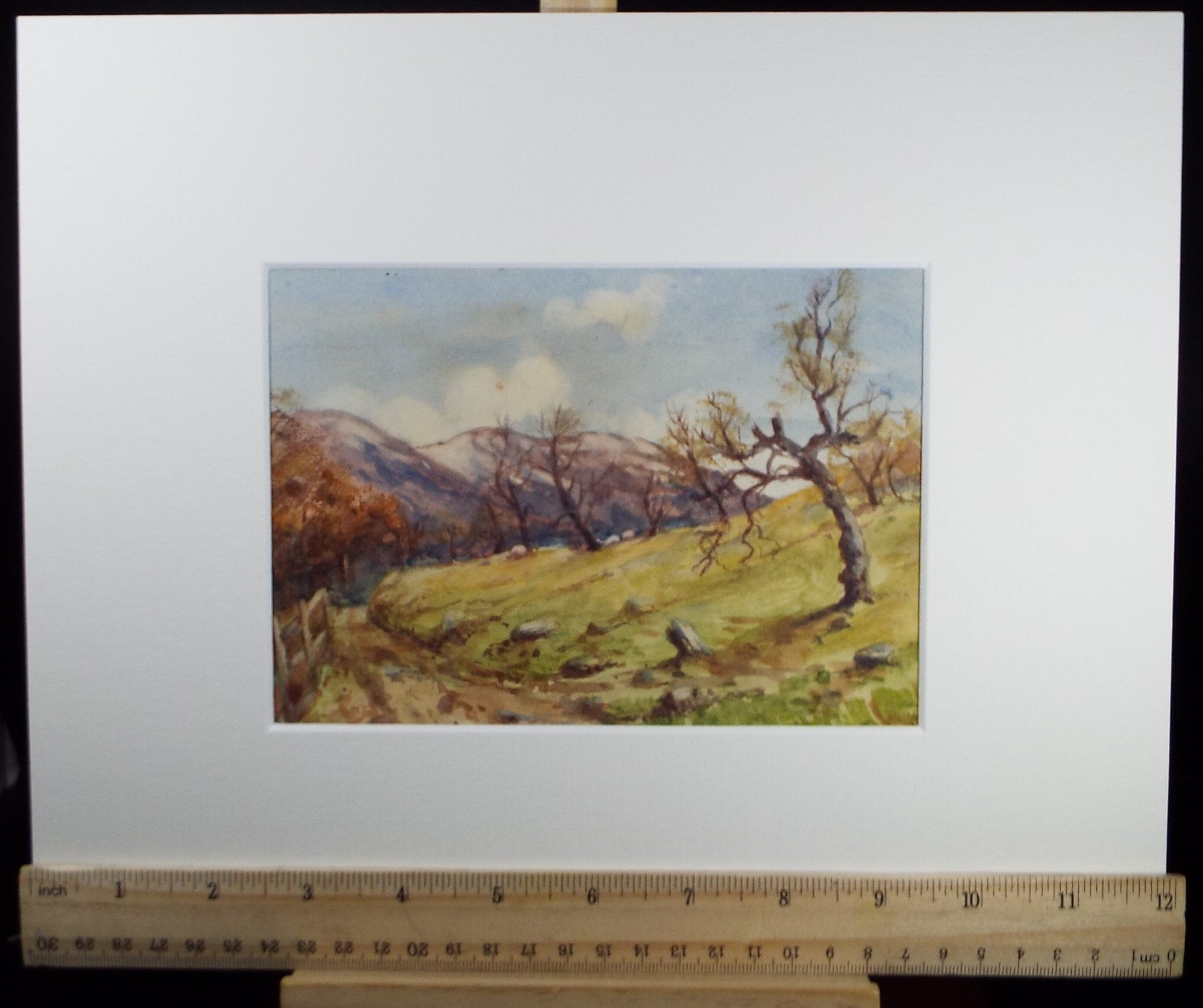 Original Watercolour Sketch, 'Mountainous Track', c1910, Unknown Artist