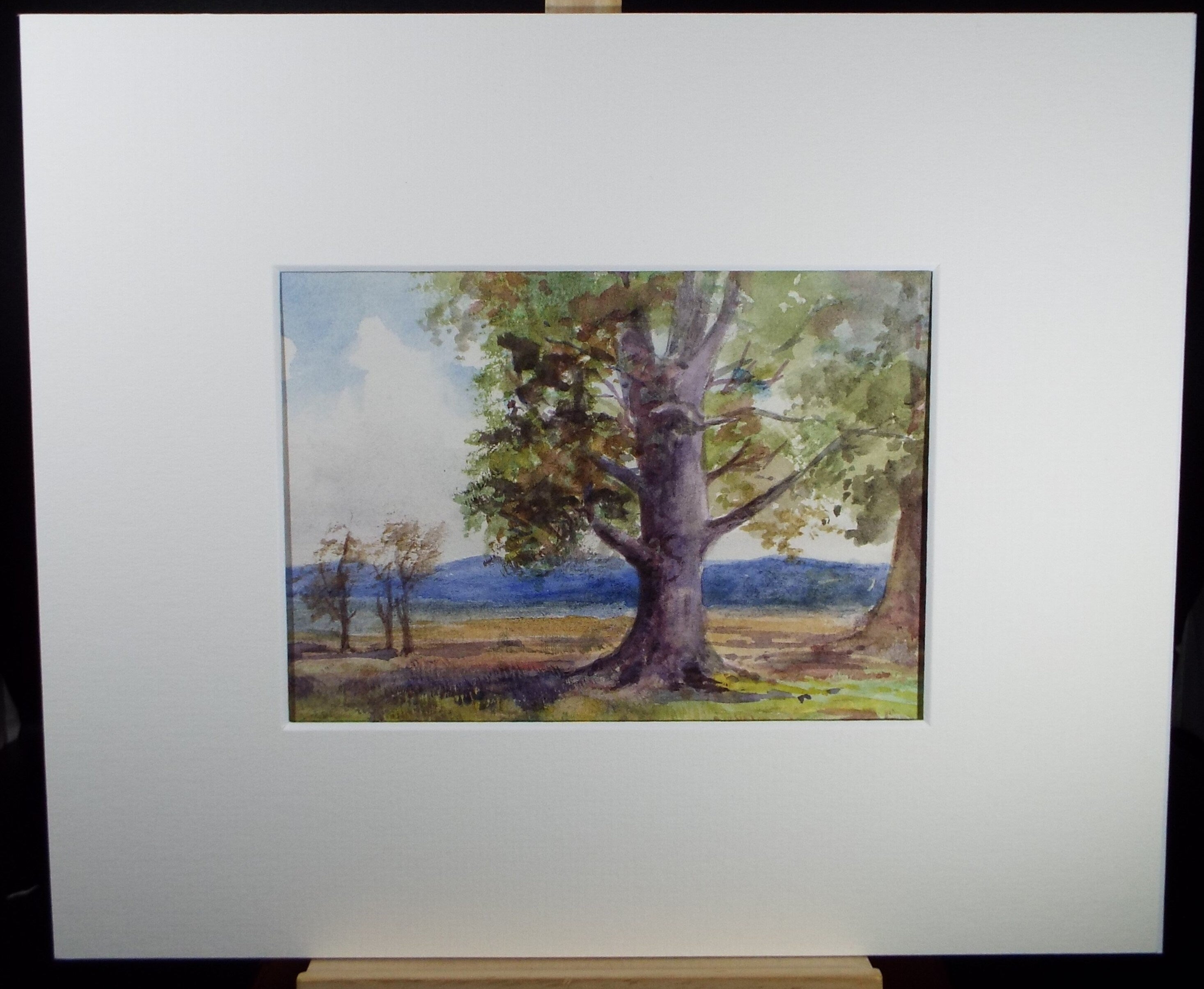 Original Watercolour Sketch, 'Beach Tree in a Landscape', c1910, Unknown Artist