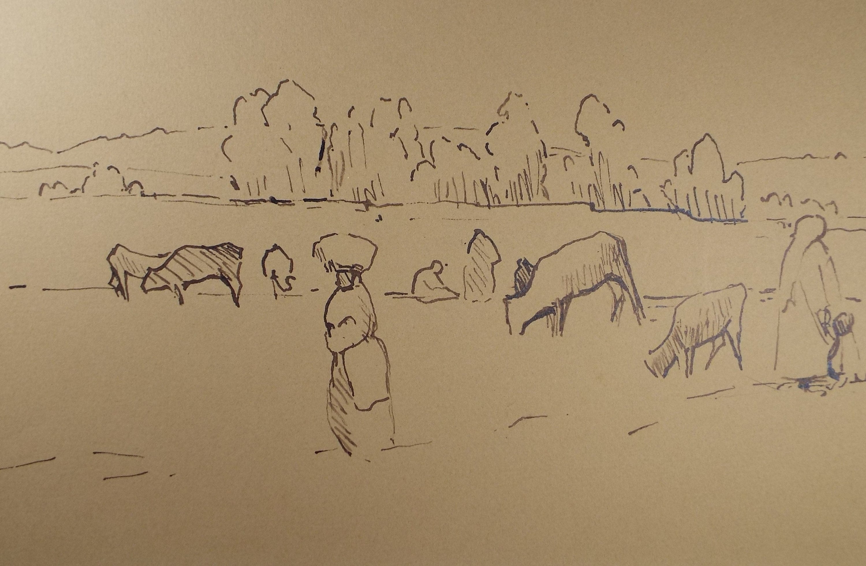 Original Pen & Ink Drawing 'Cattle with Figure', circa 1990, Mariota Bosanquet (1923-2022)