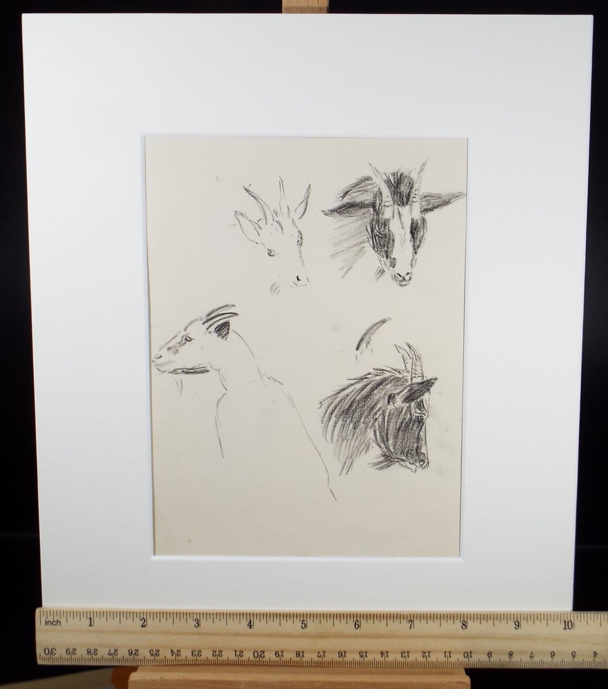 Original Pencil Sketch,'A Study of Goats', Hilda Burford (1887-1957)