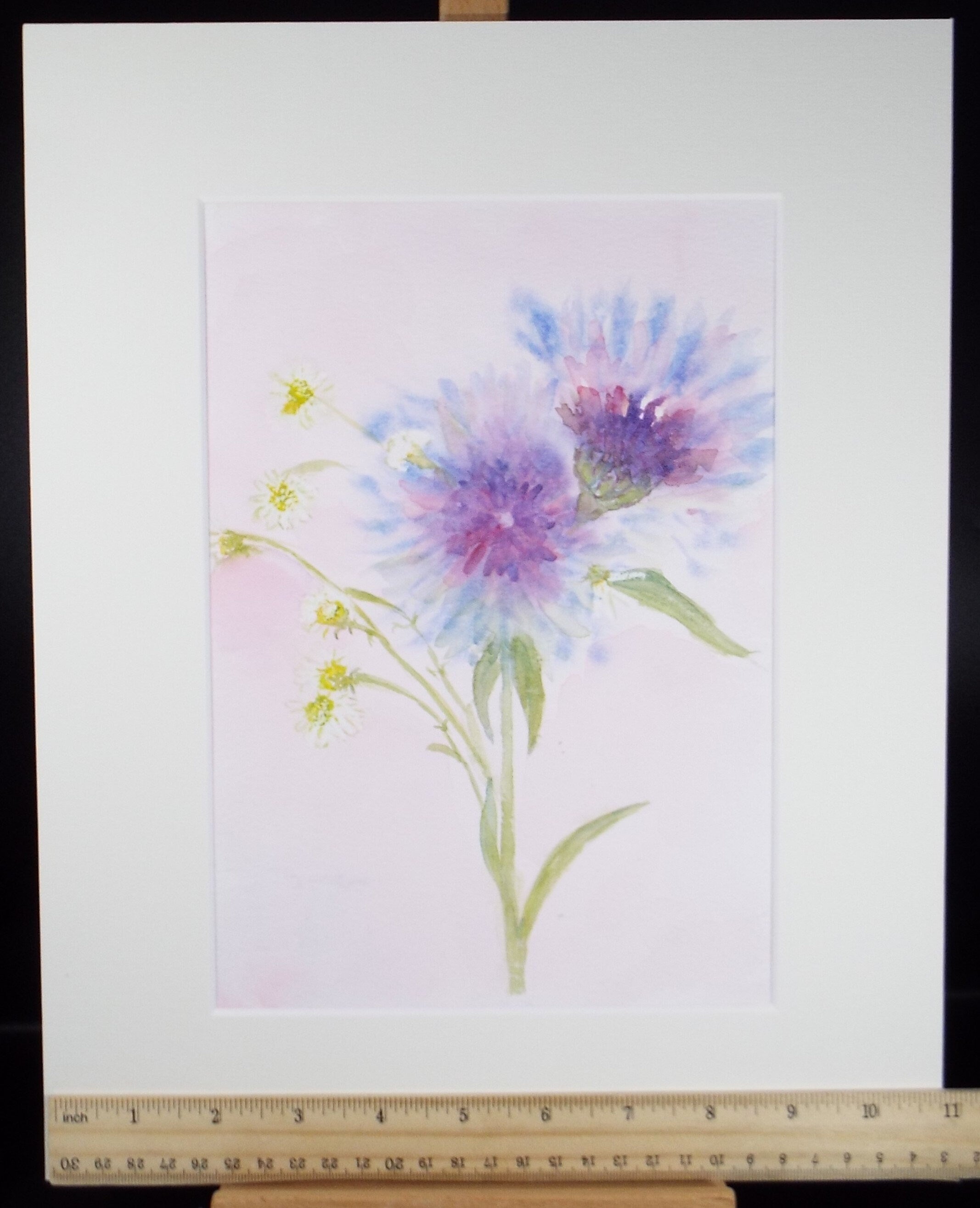 Original Watercolour, 'Study of Daisies', Circa 1990's, Artist Unknown