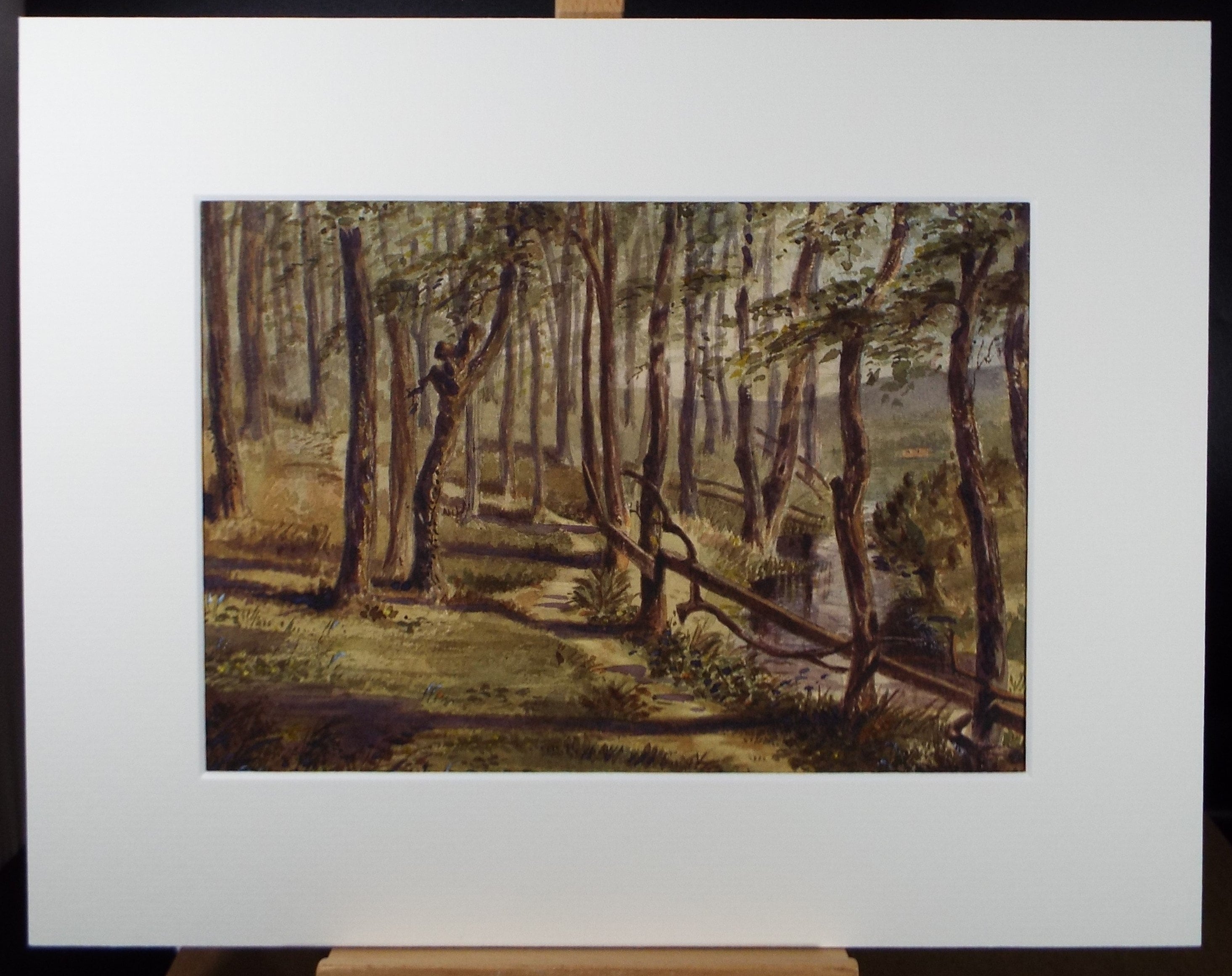 Original Watercolour, 'Woodland Study', c1880, A Elliott