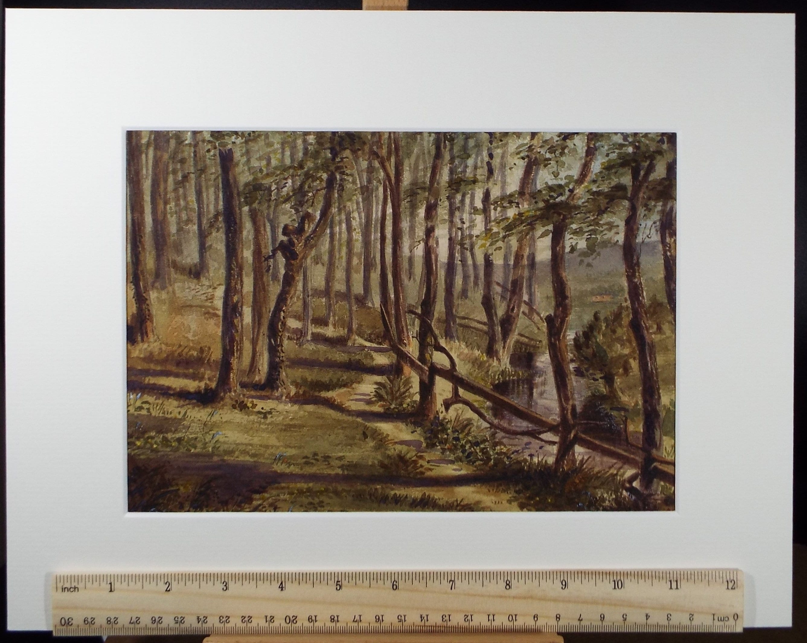 Original Watercolour, 'Woodland Study', c1880, A Elliott