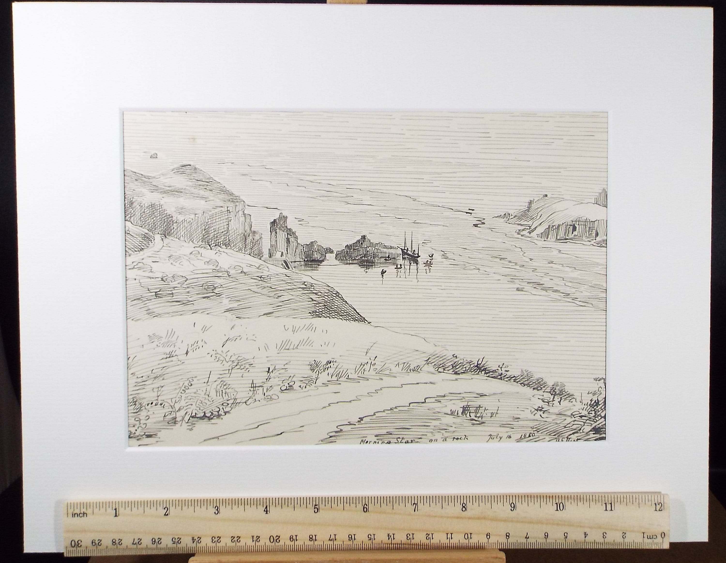 Original Pen & Ink, 'Morning Star on a rock', c1880, A Elliott