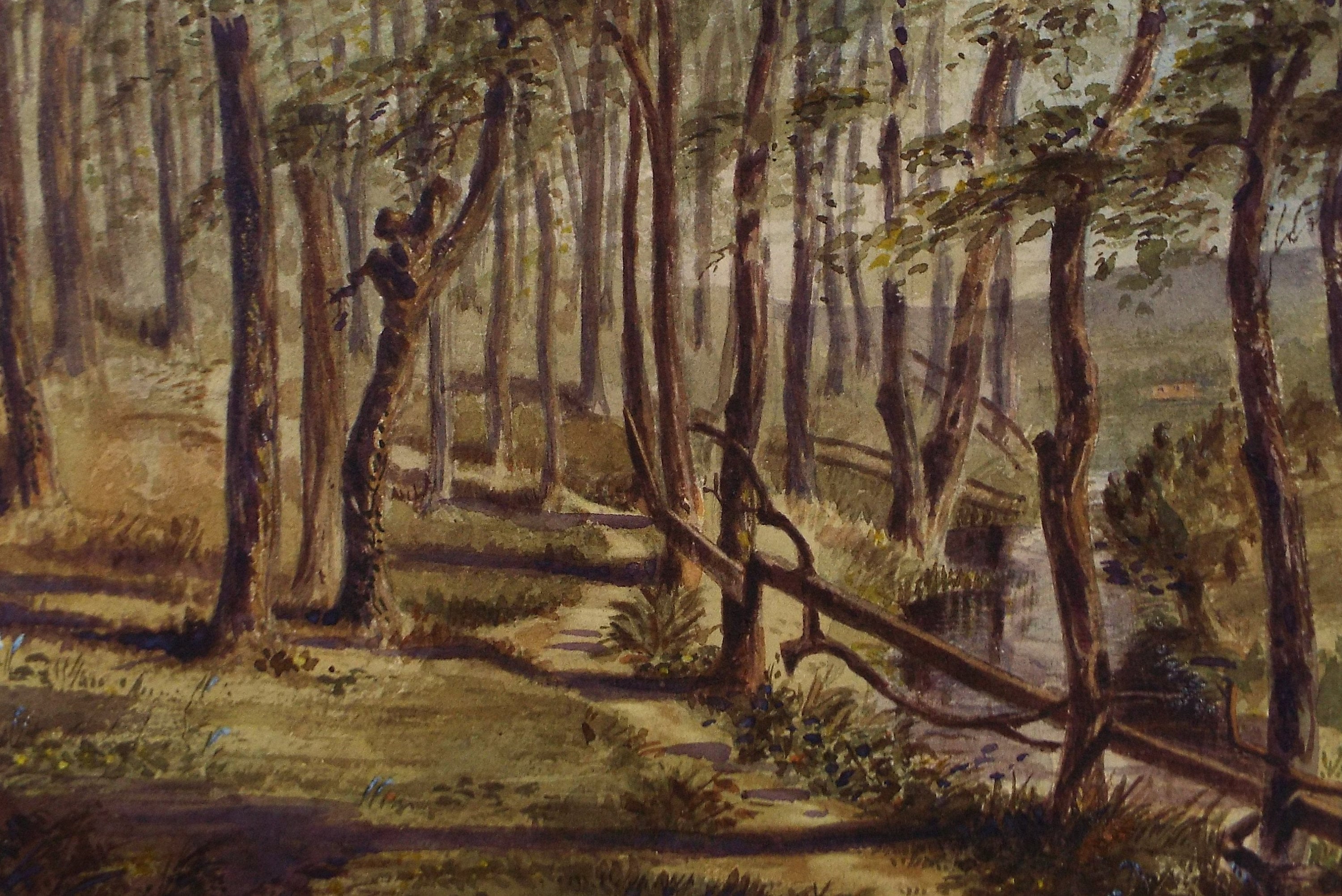 Original Watercolour, 'Woodland Study', c1880, A Elliott