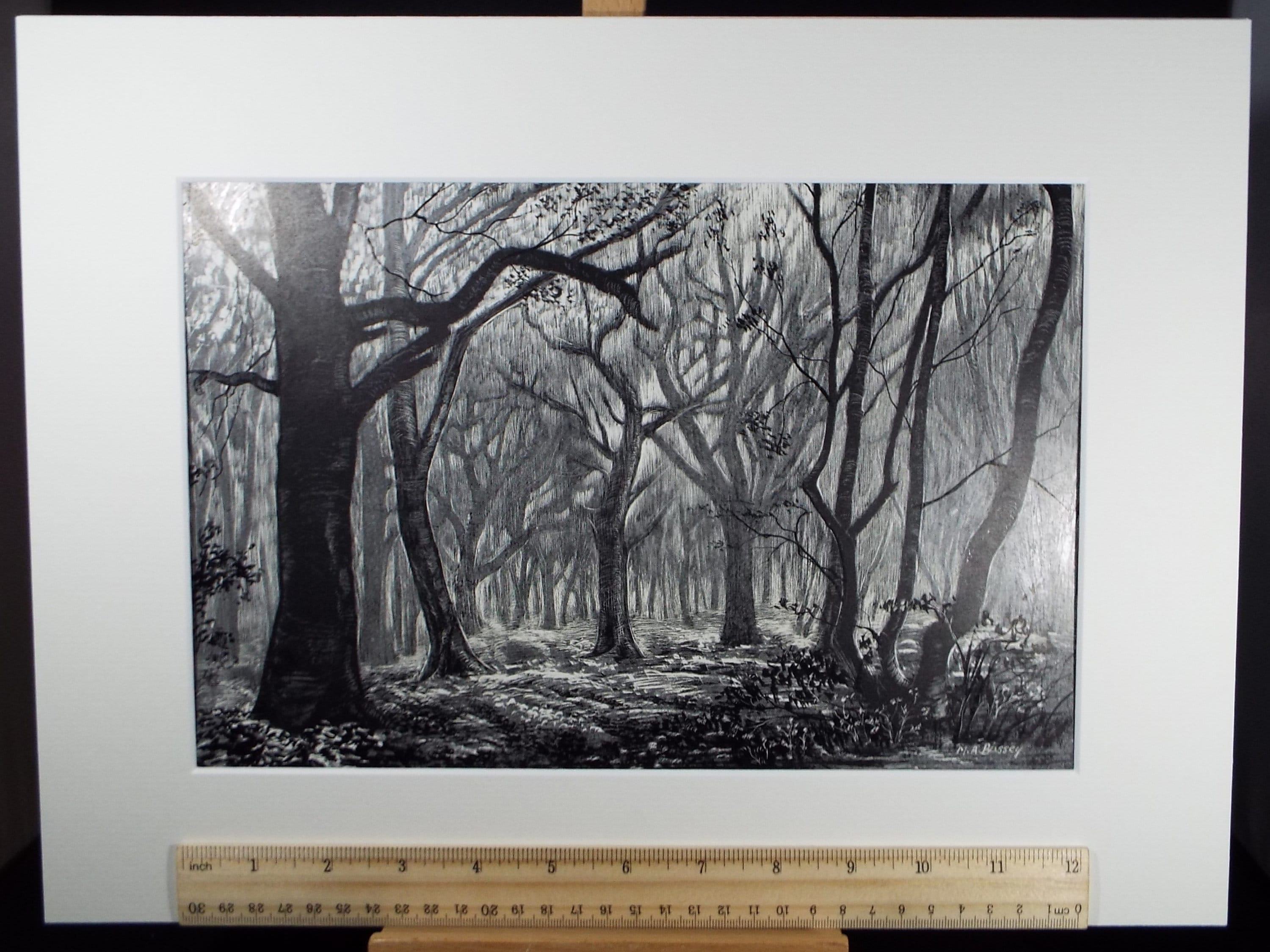 Original Etching on Scraperboard 'Enchanted Woodland' , Michael A. Bussey, circa 1960's