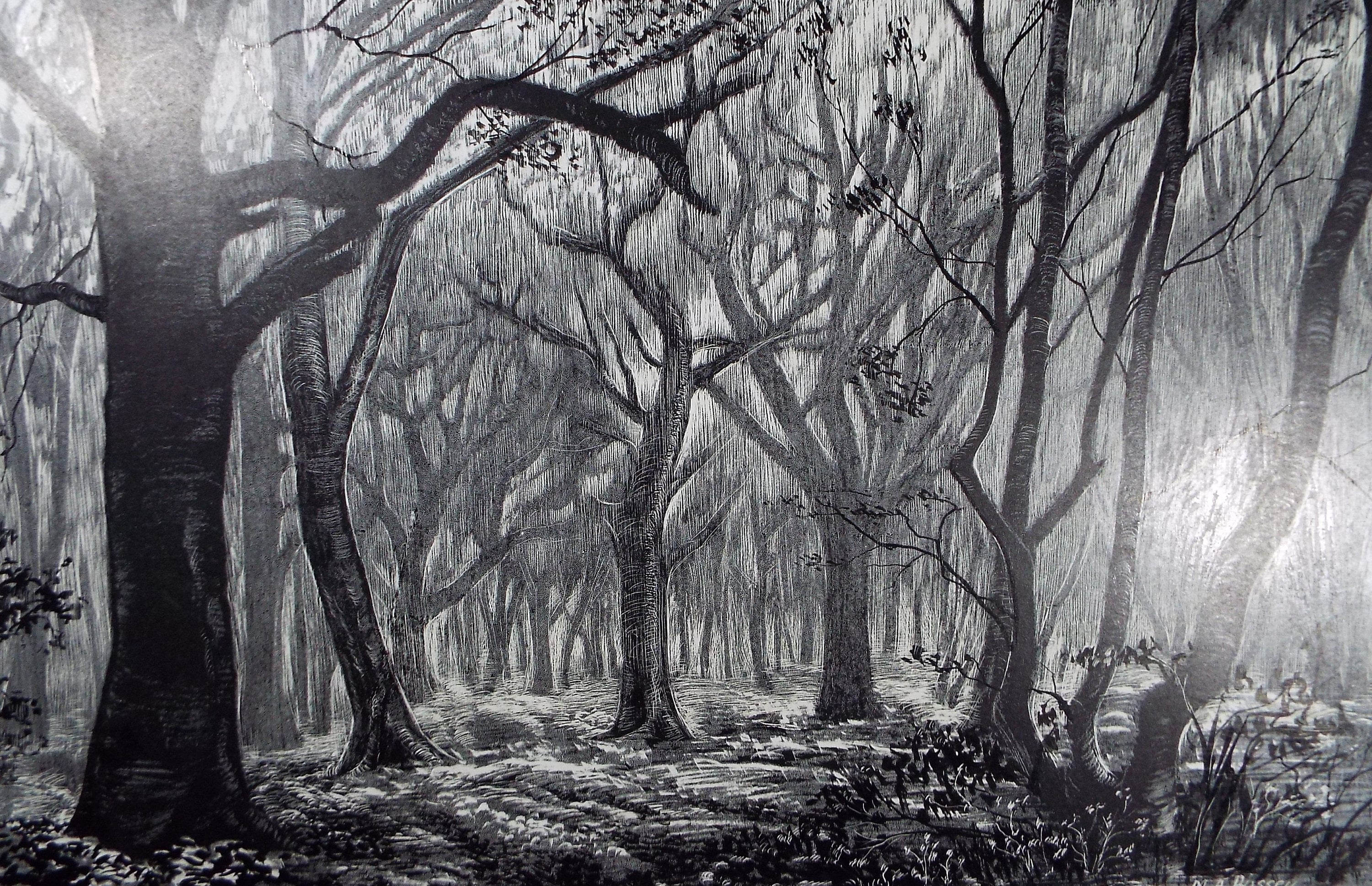 Original Etching on Scraperboard 'Enchanted Woodland' , Michael A. Bussey, circa 1960's