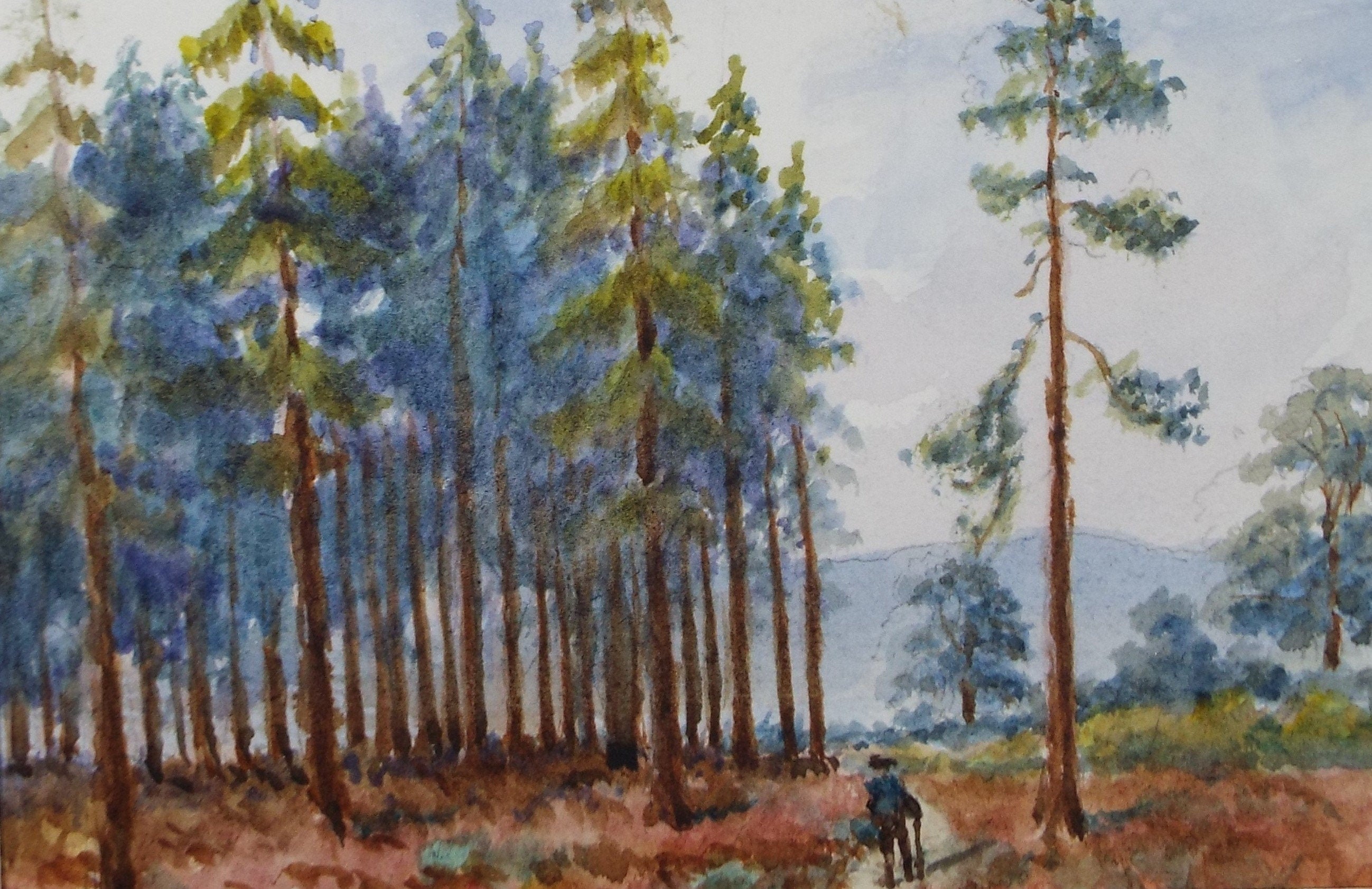 Original Watercolour, 'Figure in Pine woods', Edwin Brown (1845-1936), circa 1920's