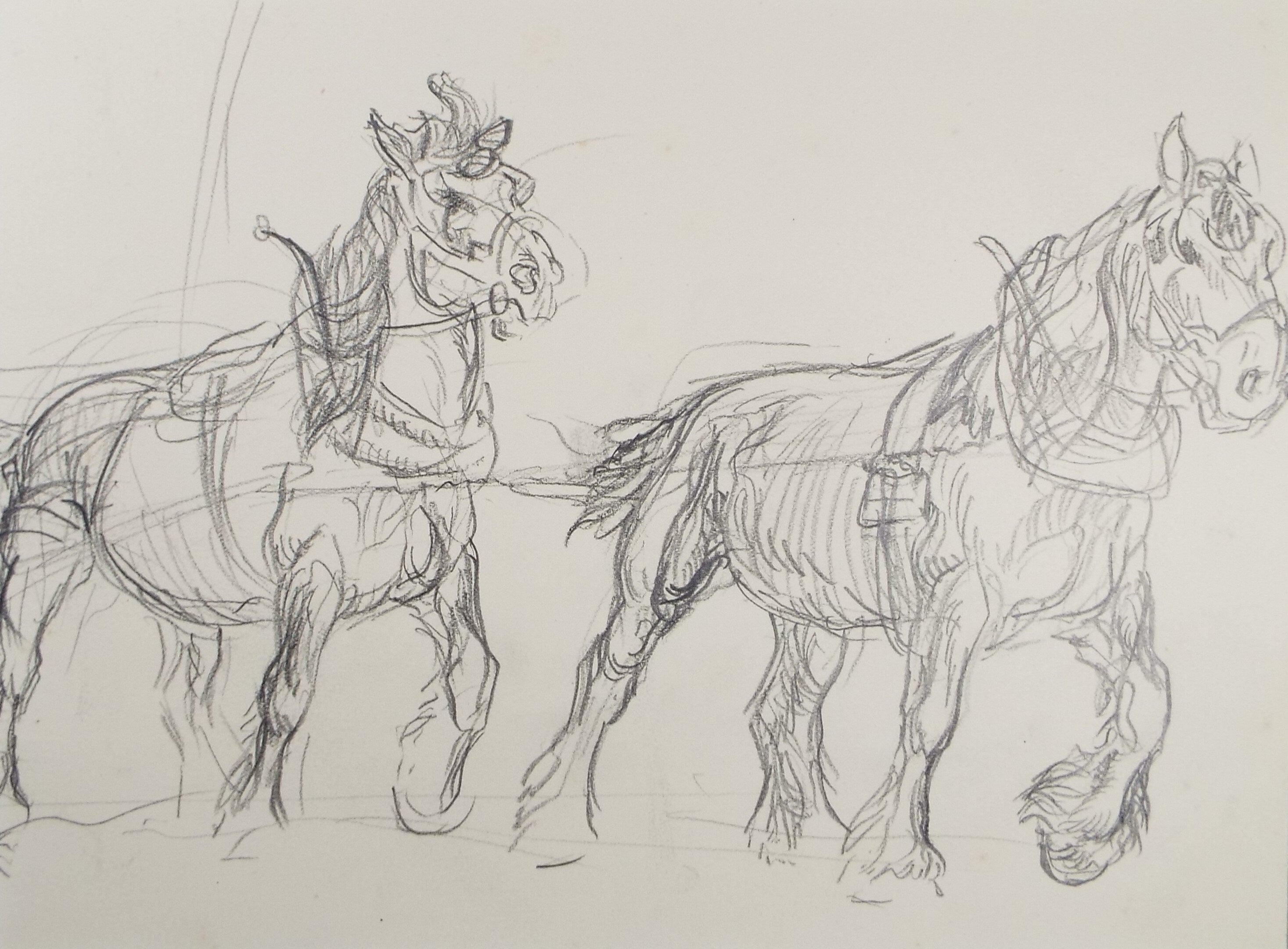 Original Pencil Sketch,'Study of Heavy horses', Helen Collins (1921-1990), circa 1938/9
