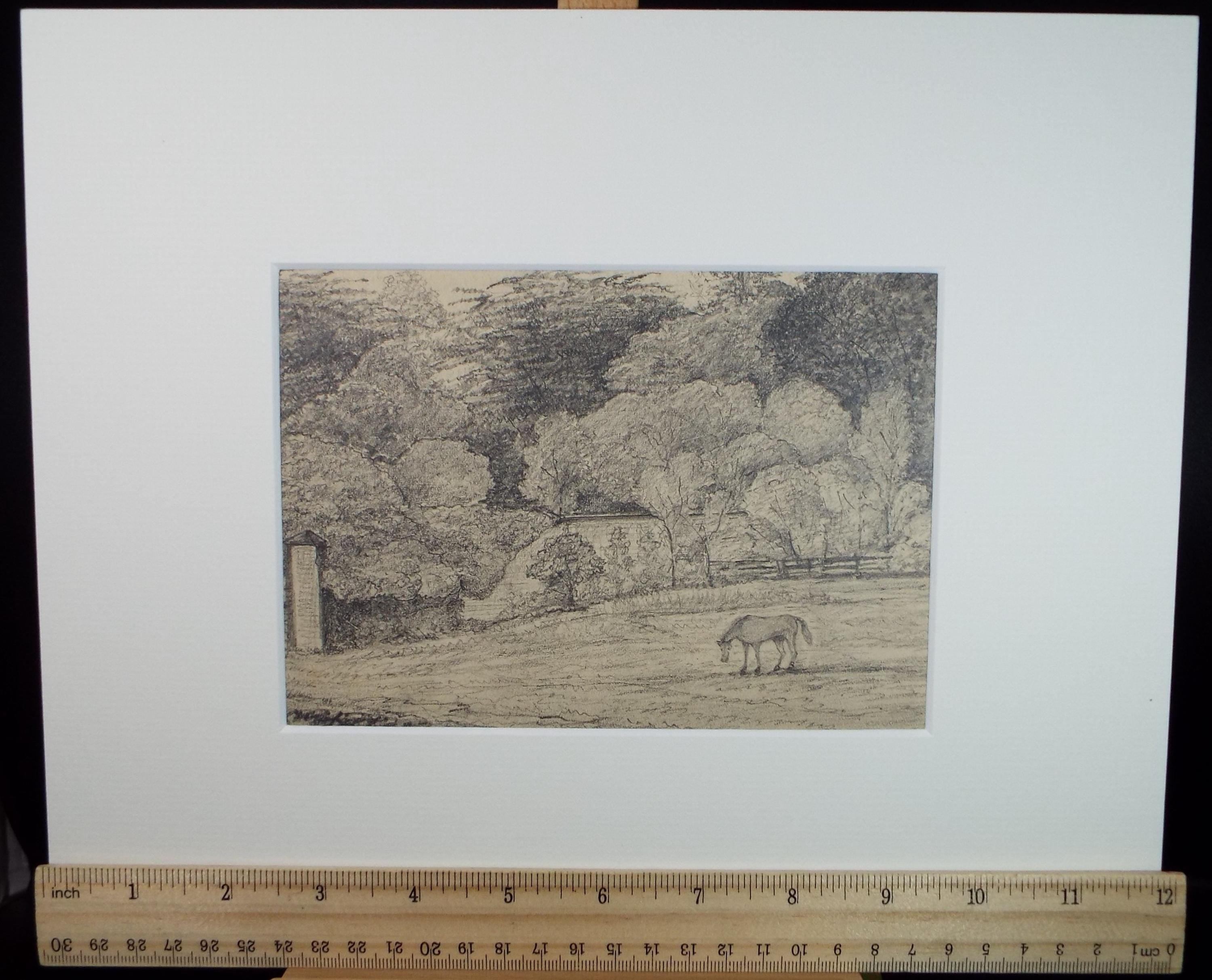 Original Pencil drawing, 'Horse in a Field', Dated 1874, artist unknown
