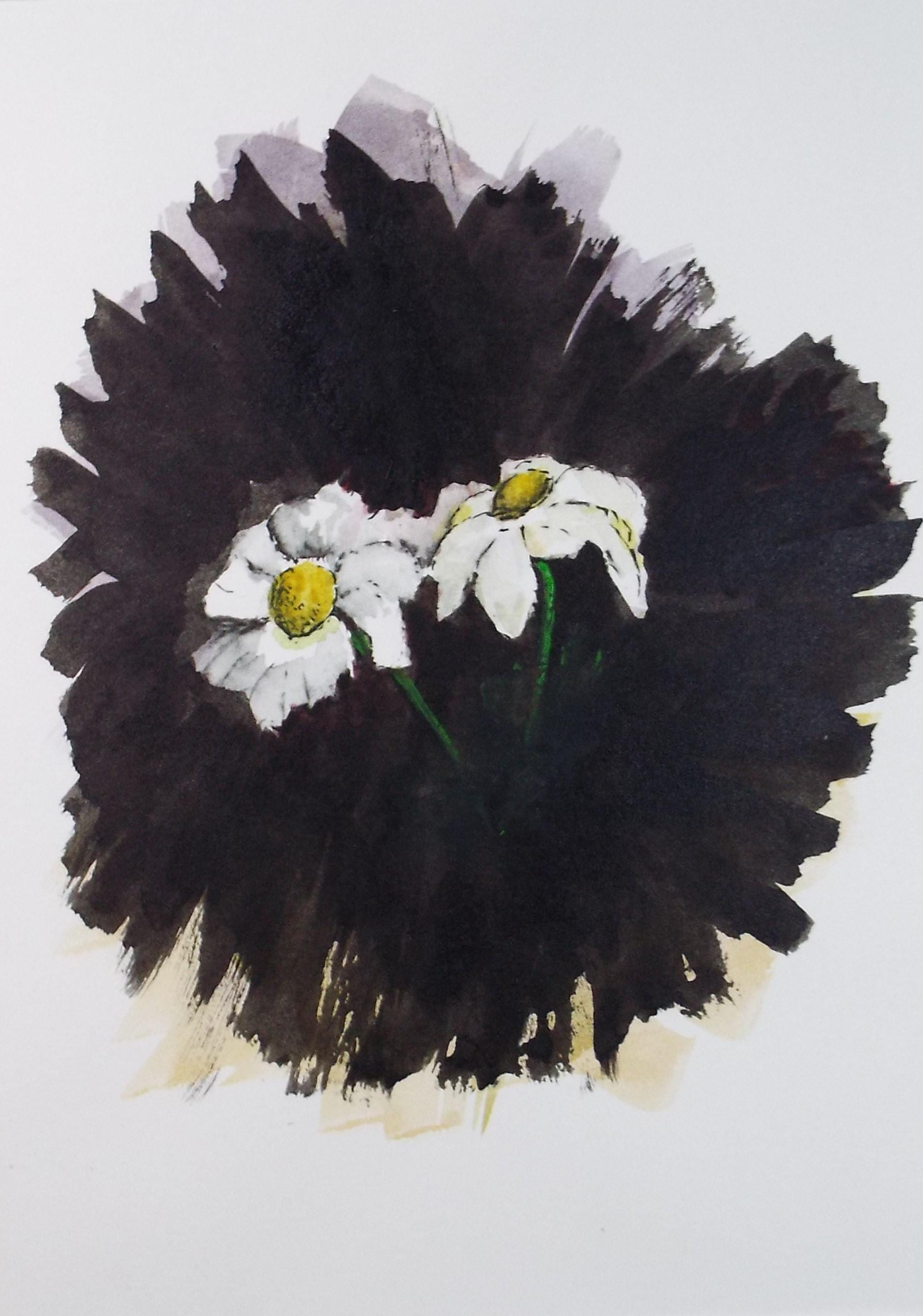 Original Watercolour, 'Study of Shasta Daisys', Dated 1983, Marie W Hiorns