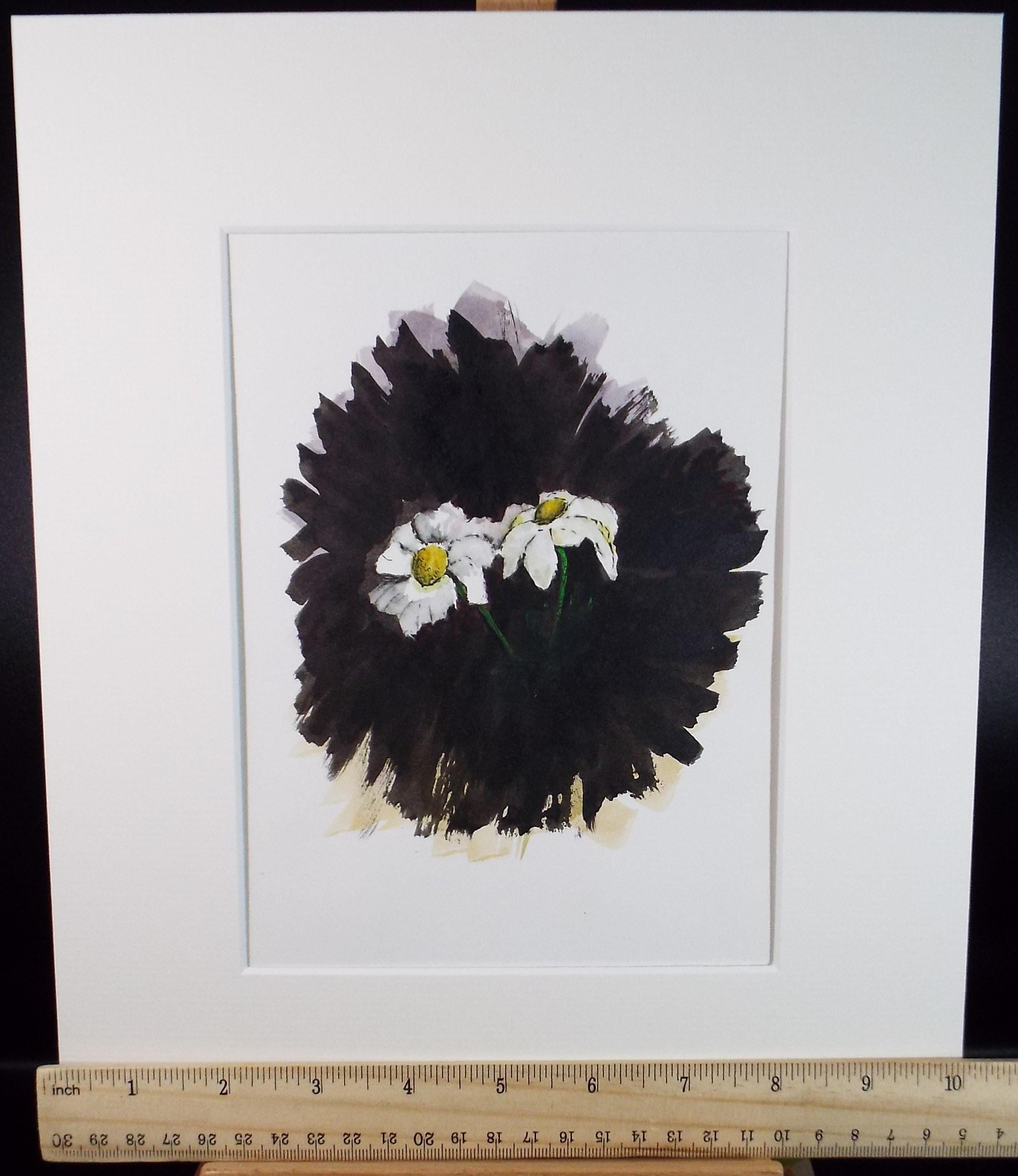 Original Watercolour, 'Study of Shasta Daisys', Dated 1983, Marie W Hiorns