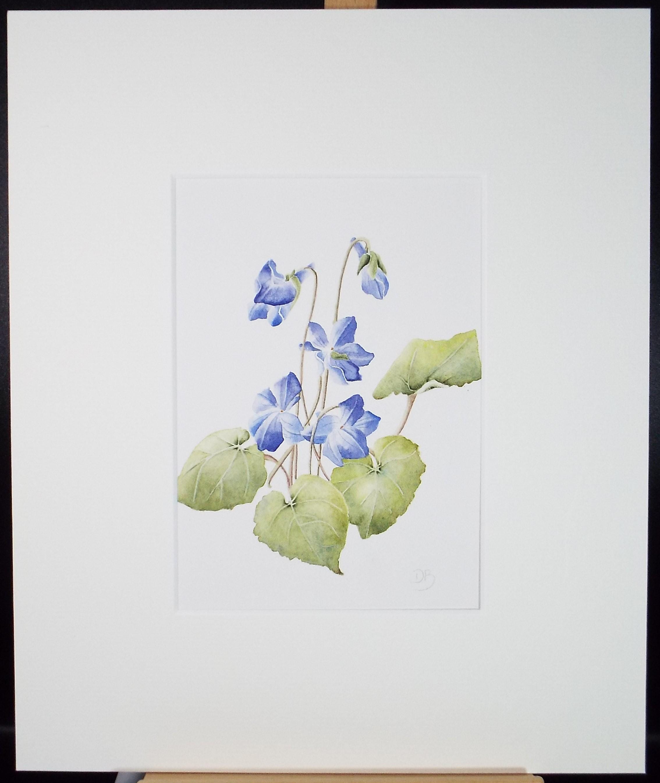 Original Watercolour, 'Violets', Circa 1990's, Diane Bowley (20th Century, British)