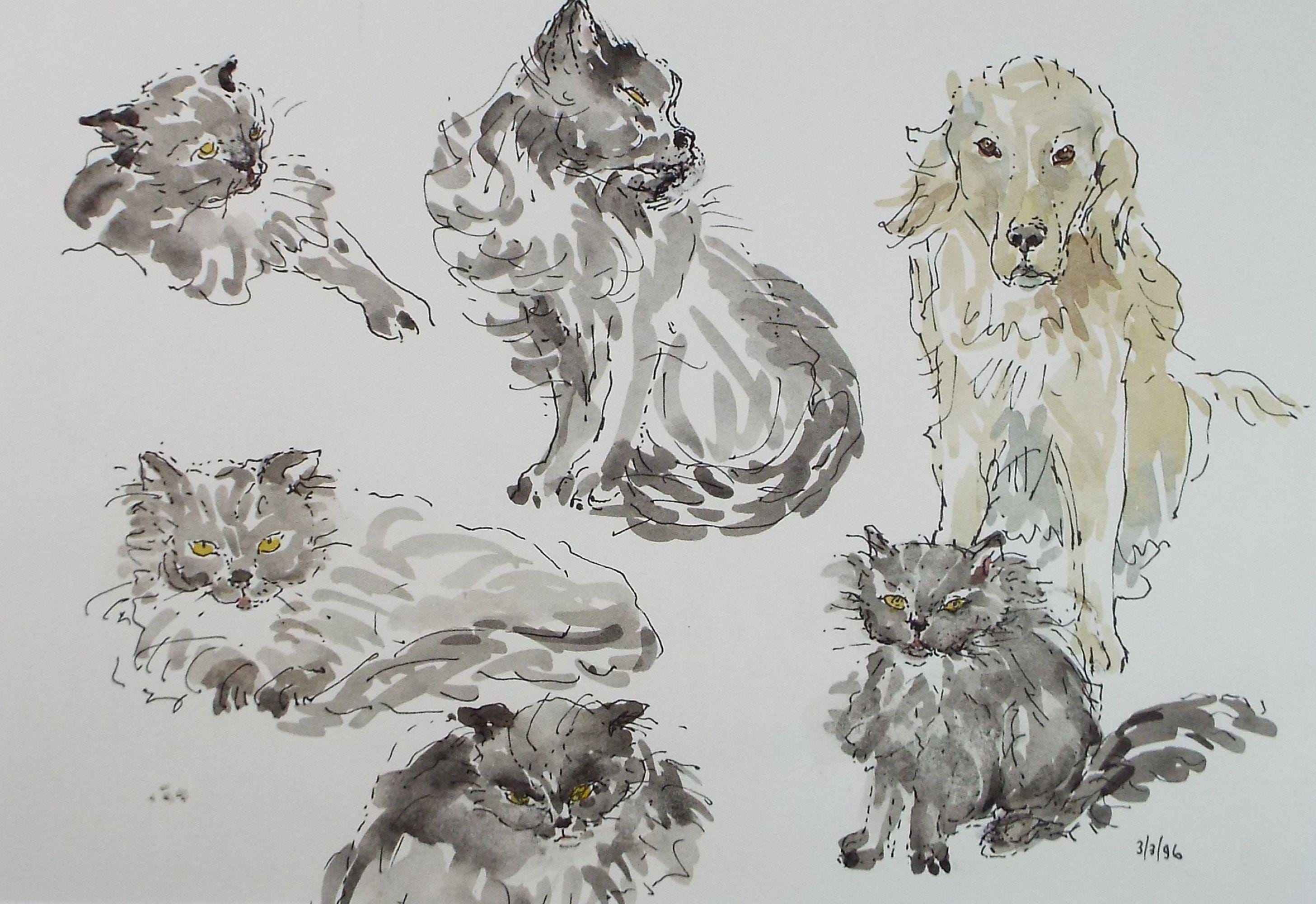 Original watercolour, 'Study of Cat and Retriever', Artist Unknown, Dated 1996.