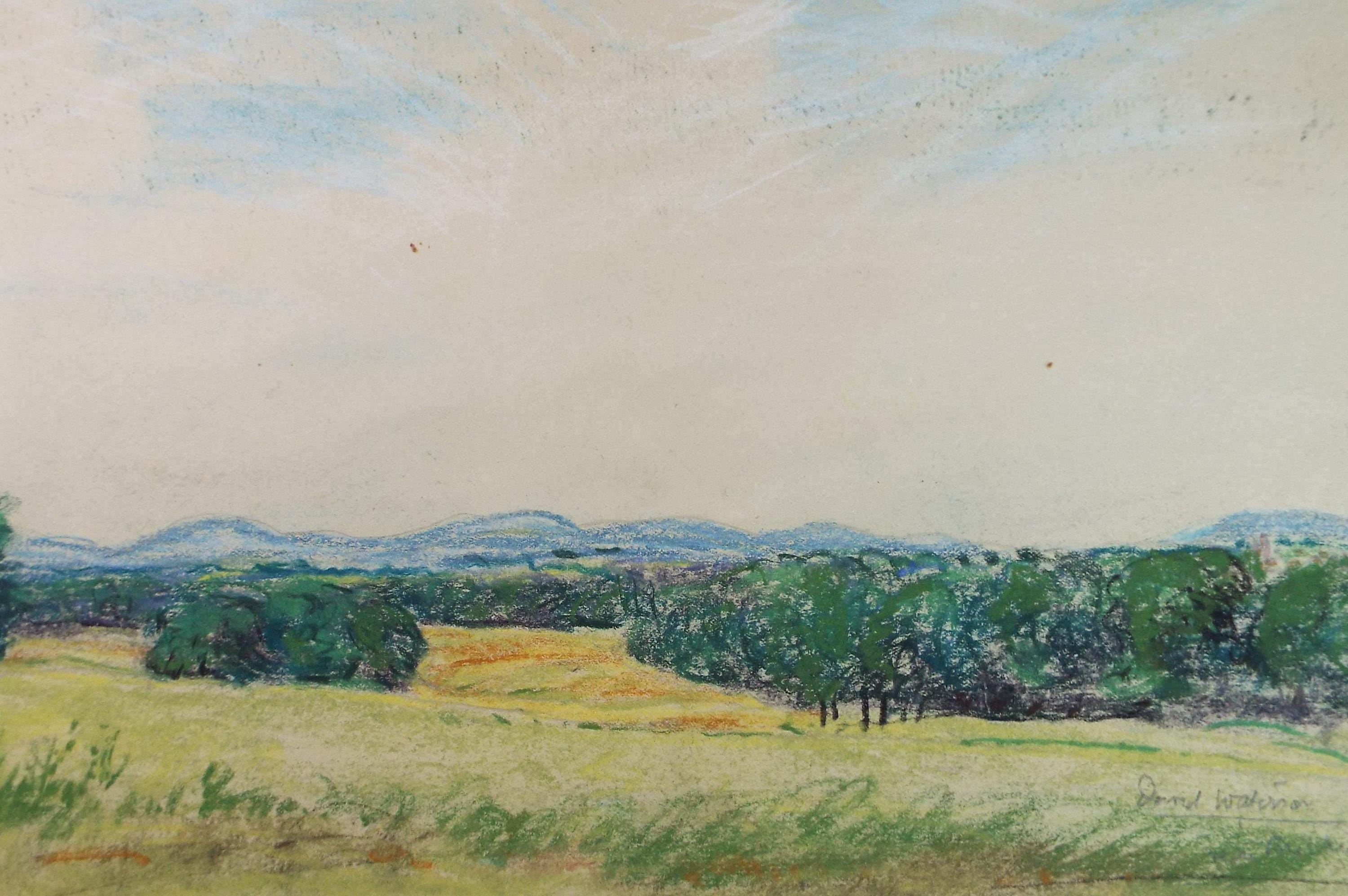 Original Pastel Drawing, 'Green Landscape', David Waterson RE FSA (1870-1954)