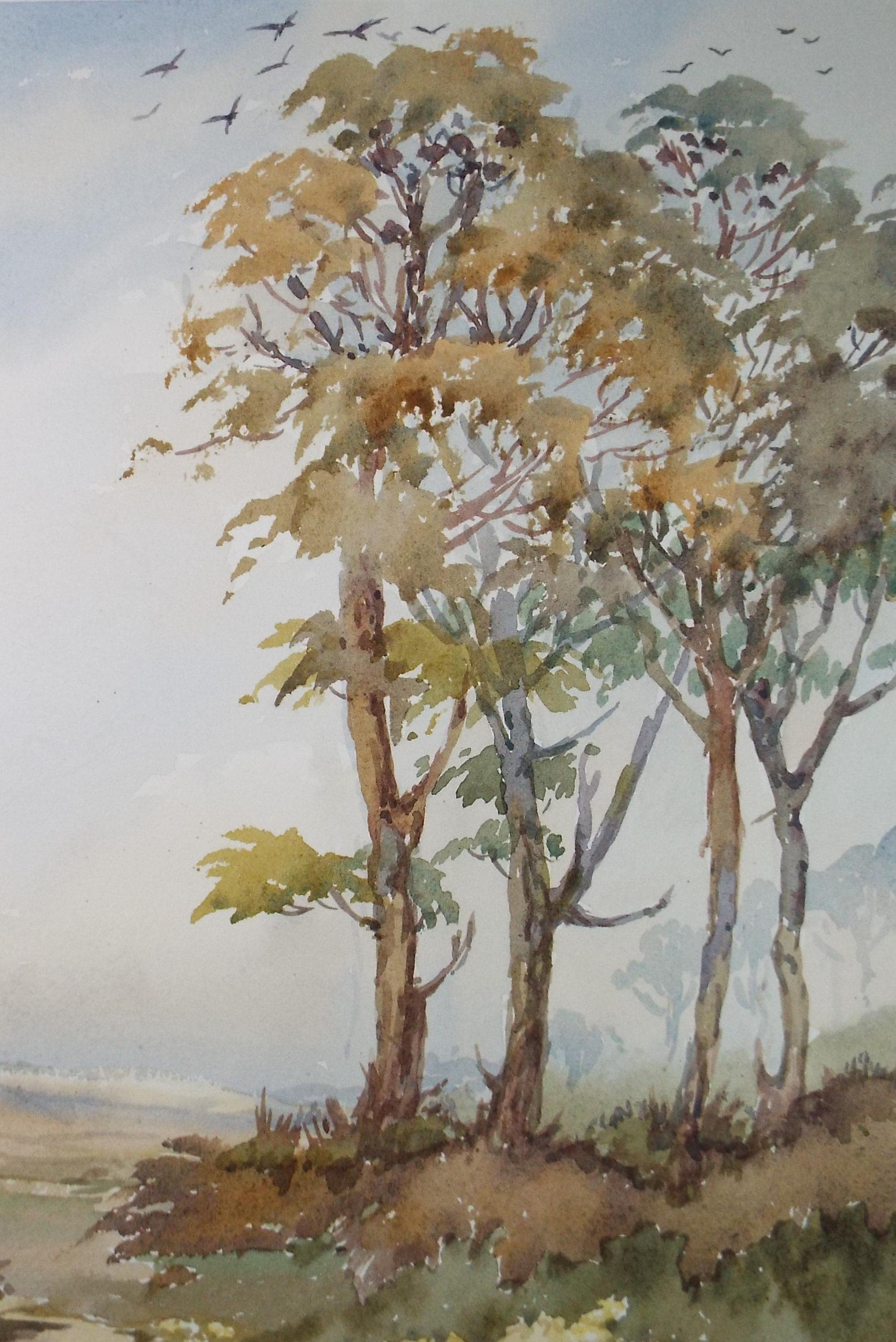 Original Watercolour, 'Stand of Trees', Gwen Rayner, c1970's