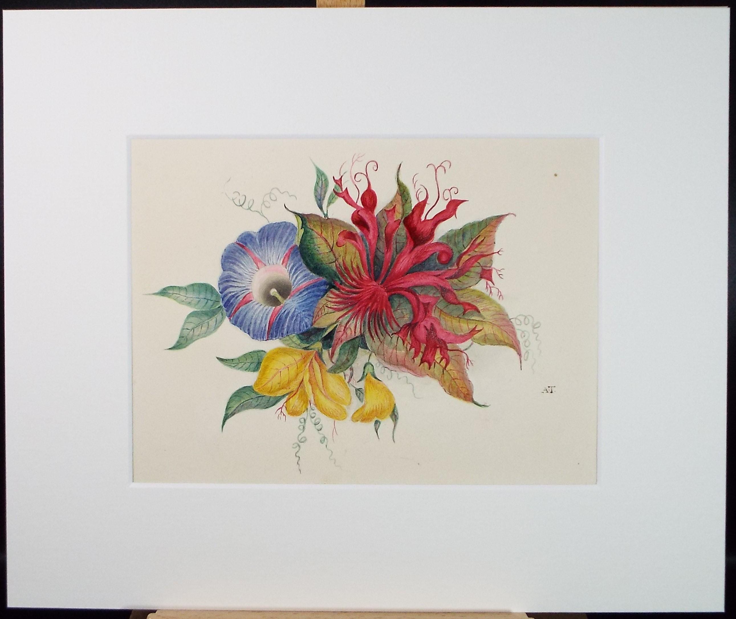 Original Watercolour, 'Flower Study', Mid 19th Century, initials A.T.