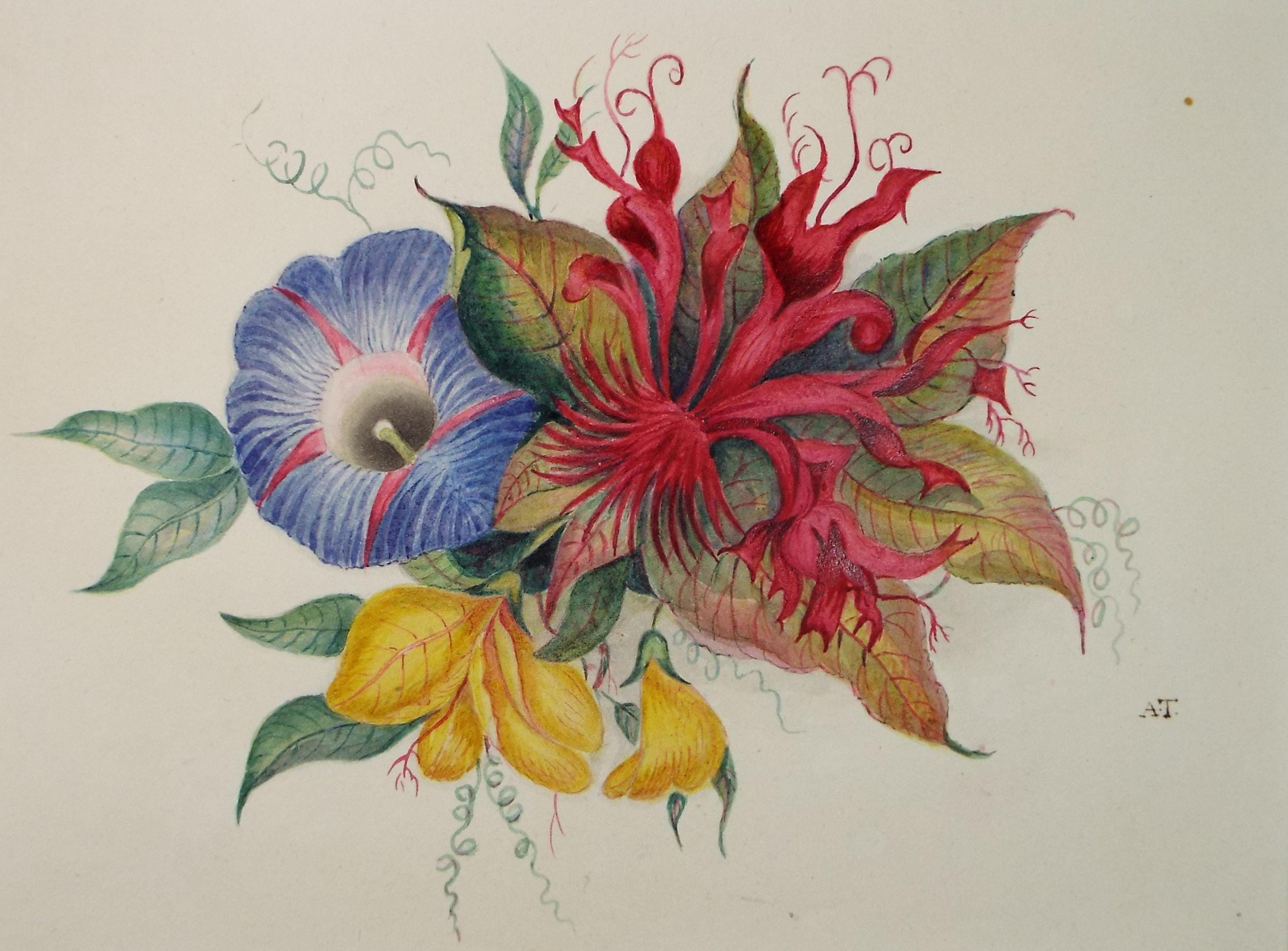 Original Watercolour, 'Flower Study', Mid 19th Century, initials A.T.