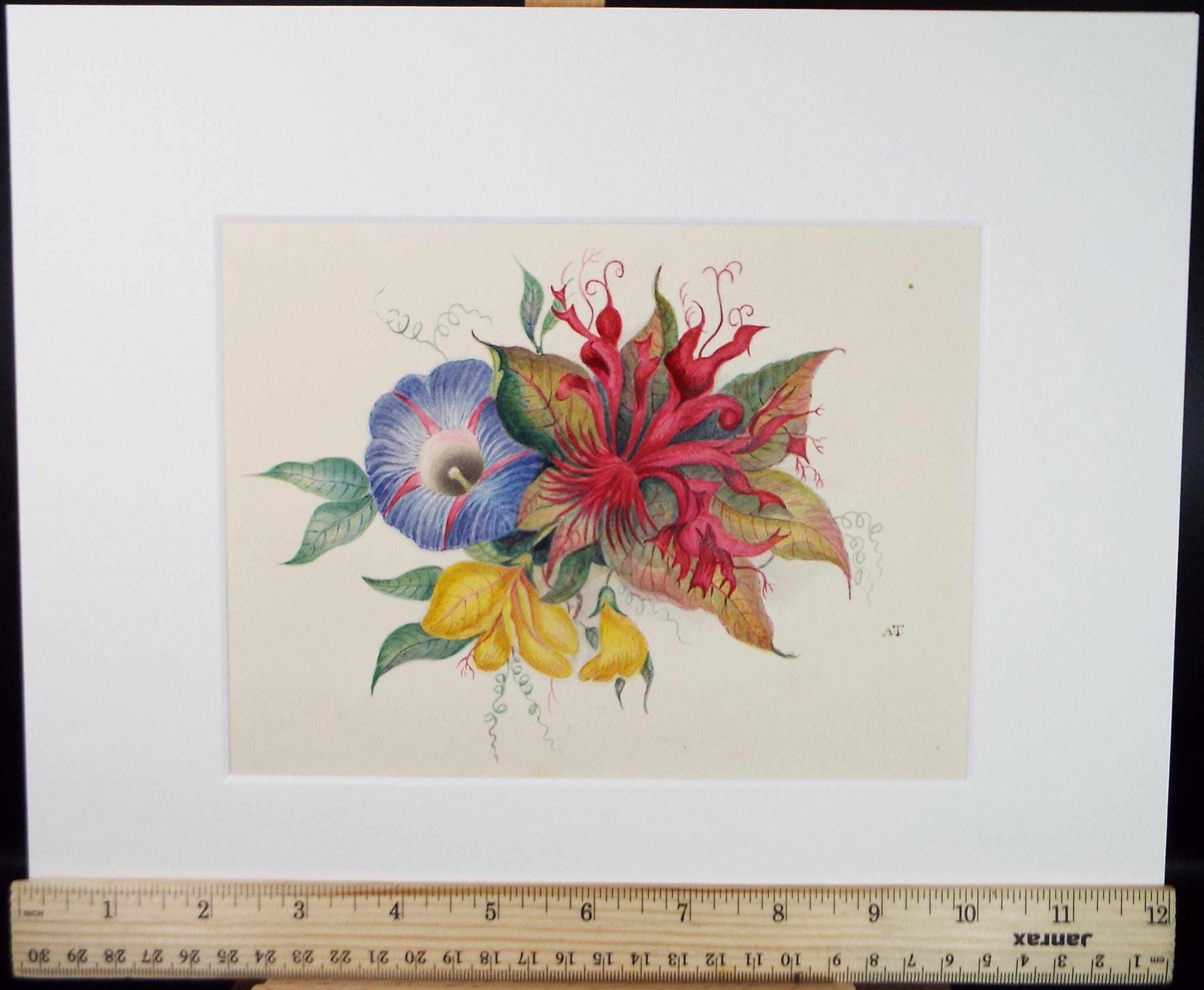 Original Watercolour, 'Flower Study', Mid 19th Century, initials A.T.
