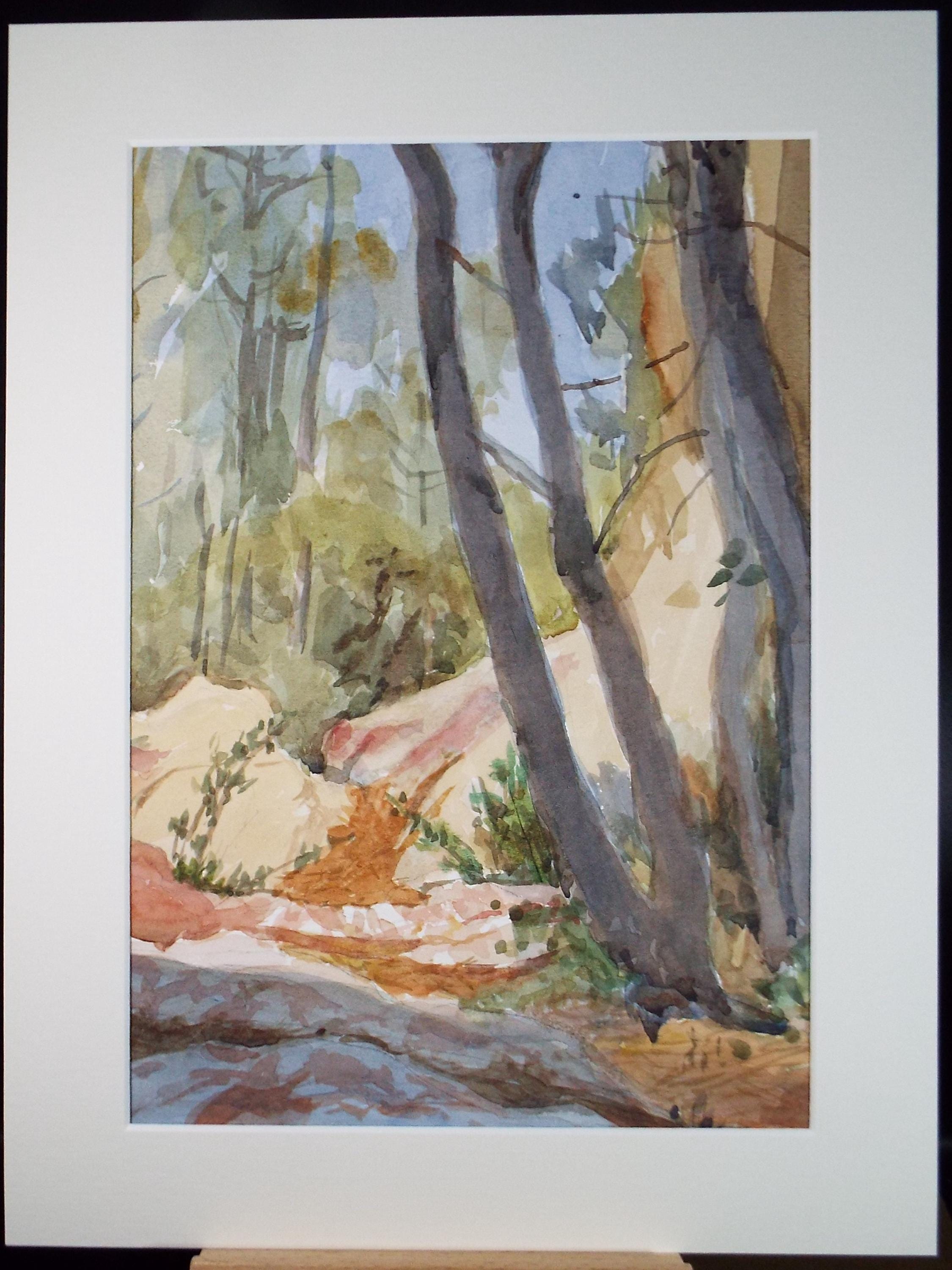 Original Watercolour, 'Woodland Outcrop', Circa 1990's ,Pauline Plummer (b1933)