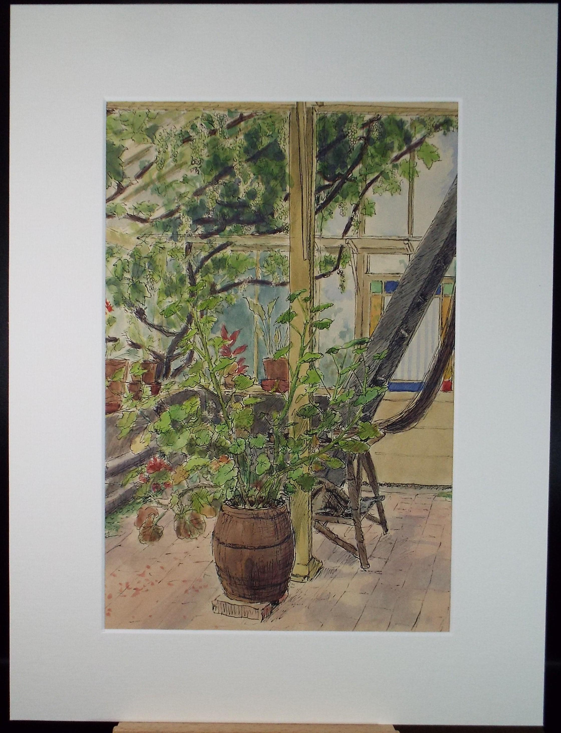 Watercolour and Ink, 'In the Conservatory',Pauline Plummer (b1933), circa 1950's