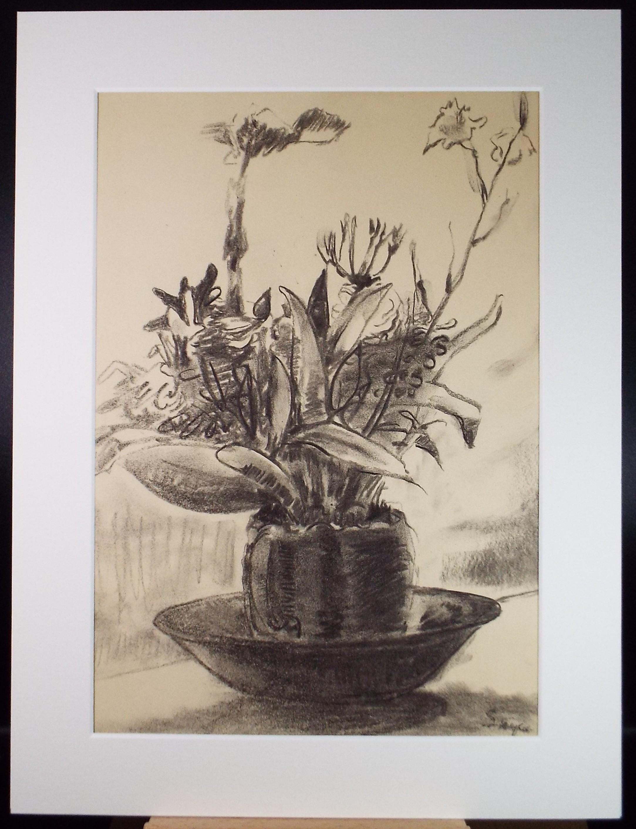 Original conte pastel, 'Potted Plant', Circa 1970's, Artist unknown