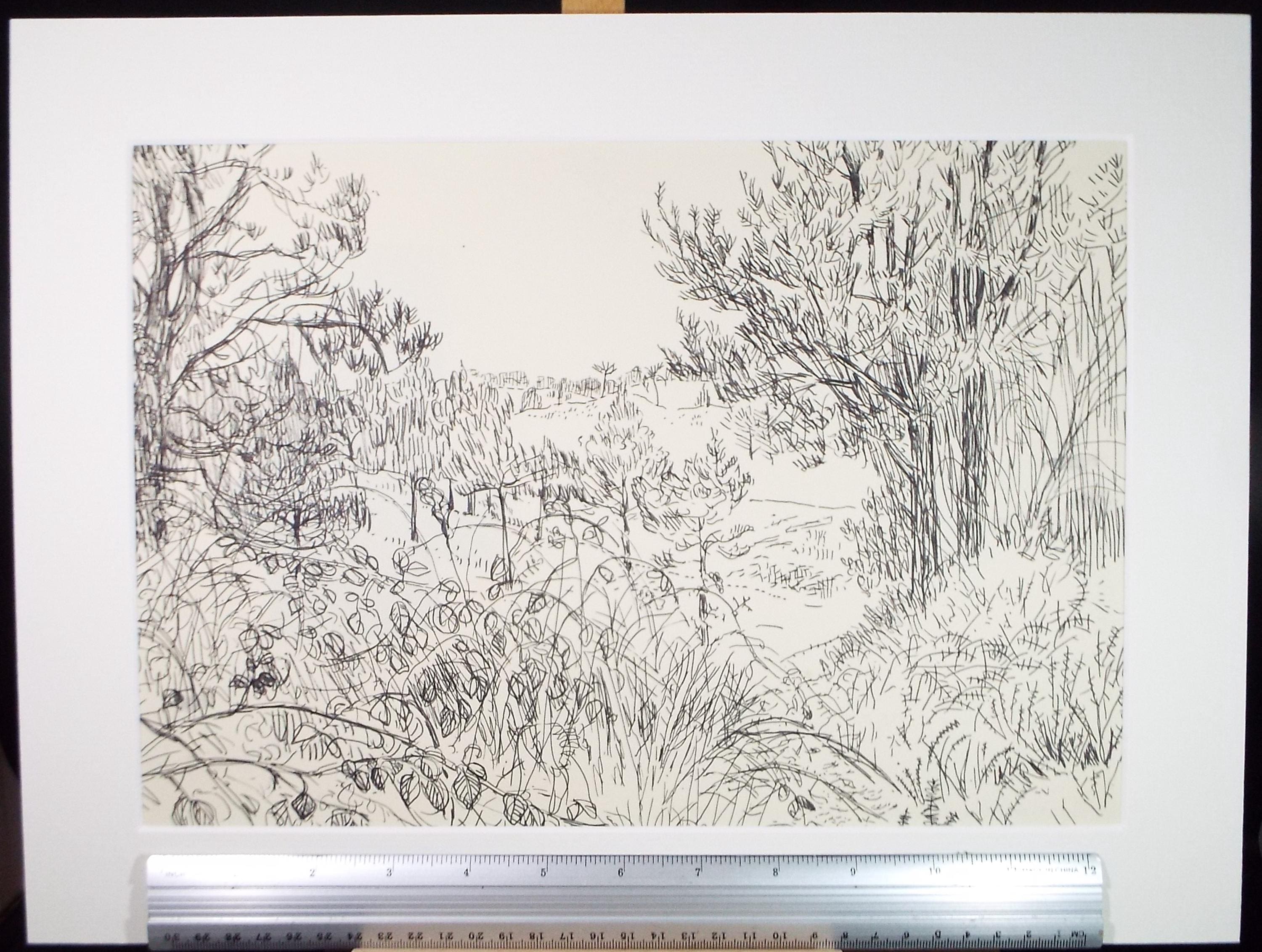 Original Pen & Ink , 'Woodbury Common', Initialled G.R.J, Dated 1965