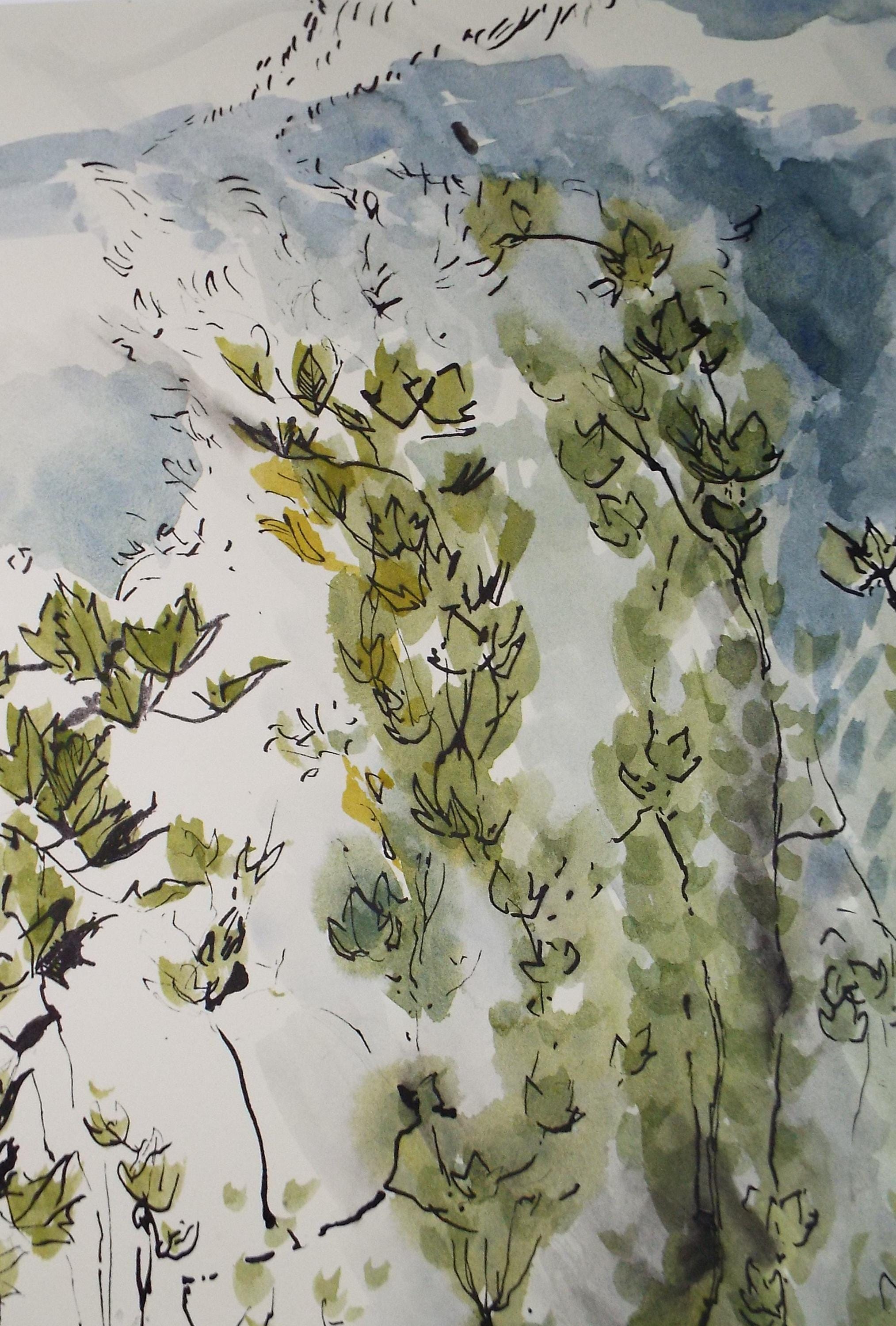 Original Watercolour, 'Study of Foliage', Unknown Artist, Circa 1970's