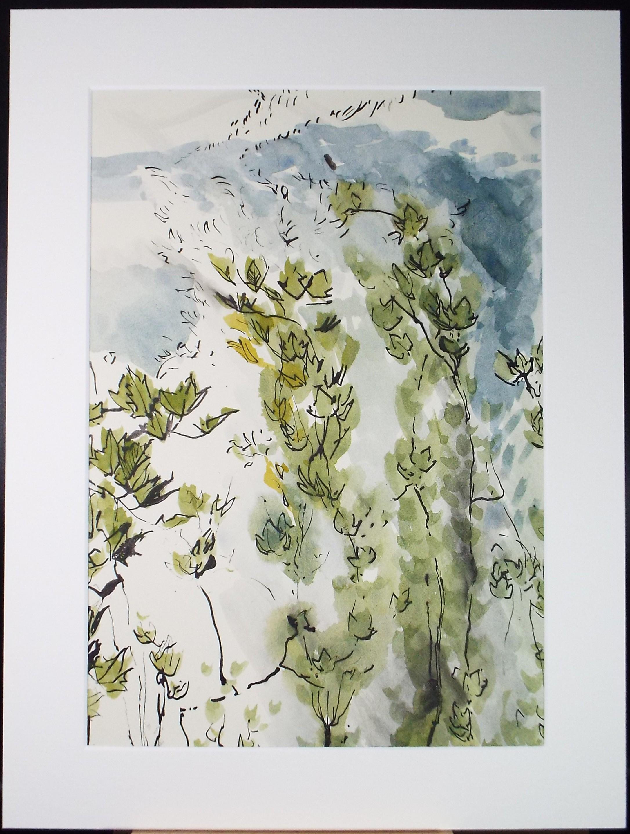 Original Watercolour, 'Study of Foliage', Unknown Artist, Circa 1970's