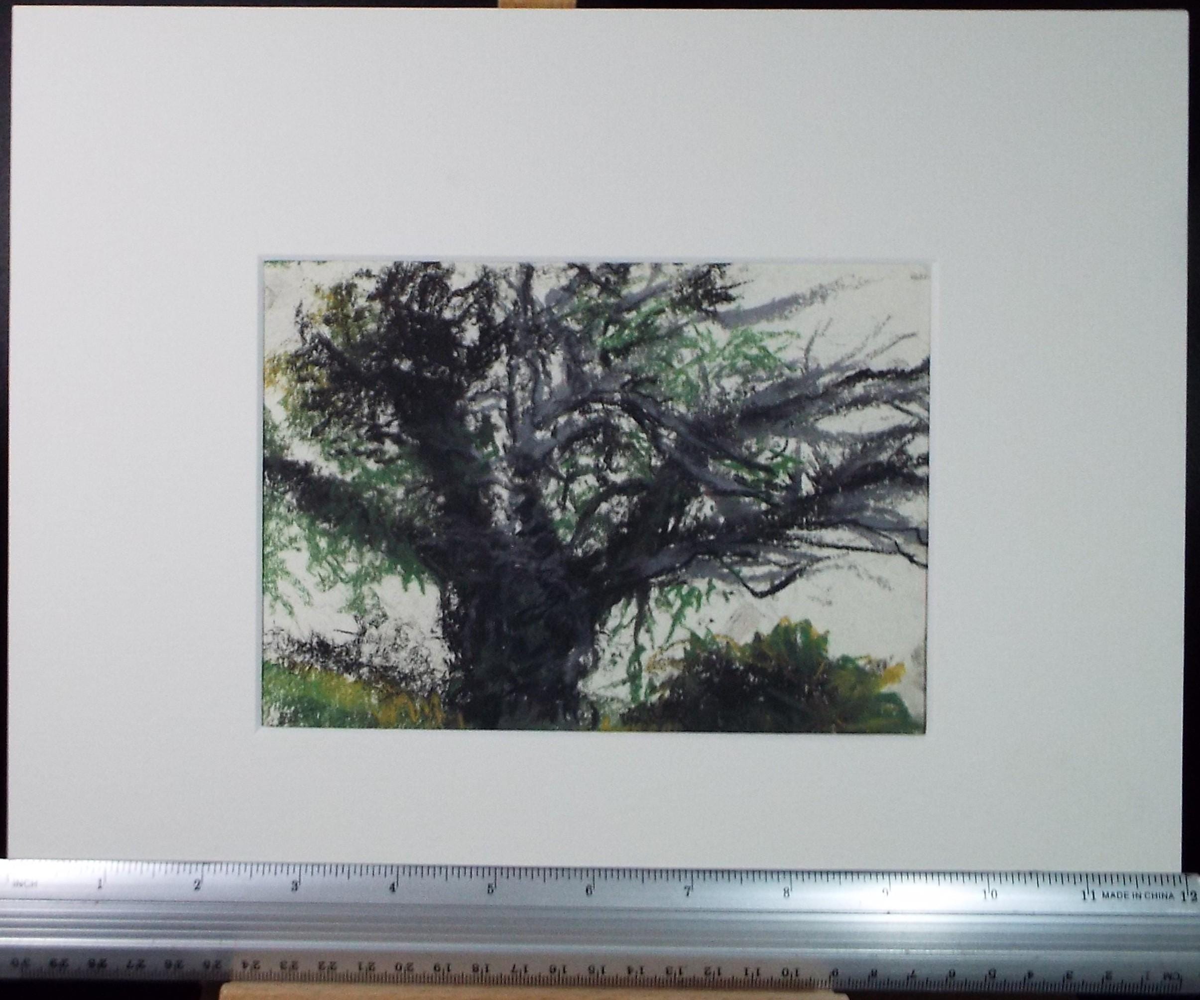 Original Pastel, 'Tree Study', Graham Benton RBSA (1934-2022), Dated 2004