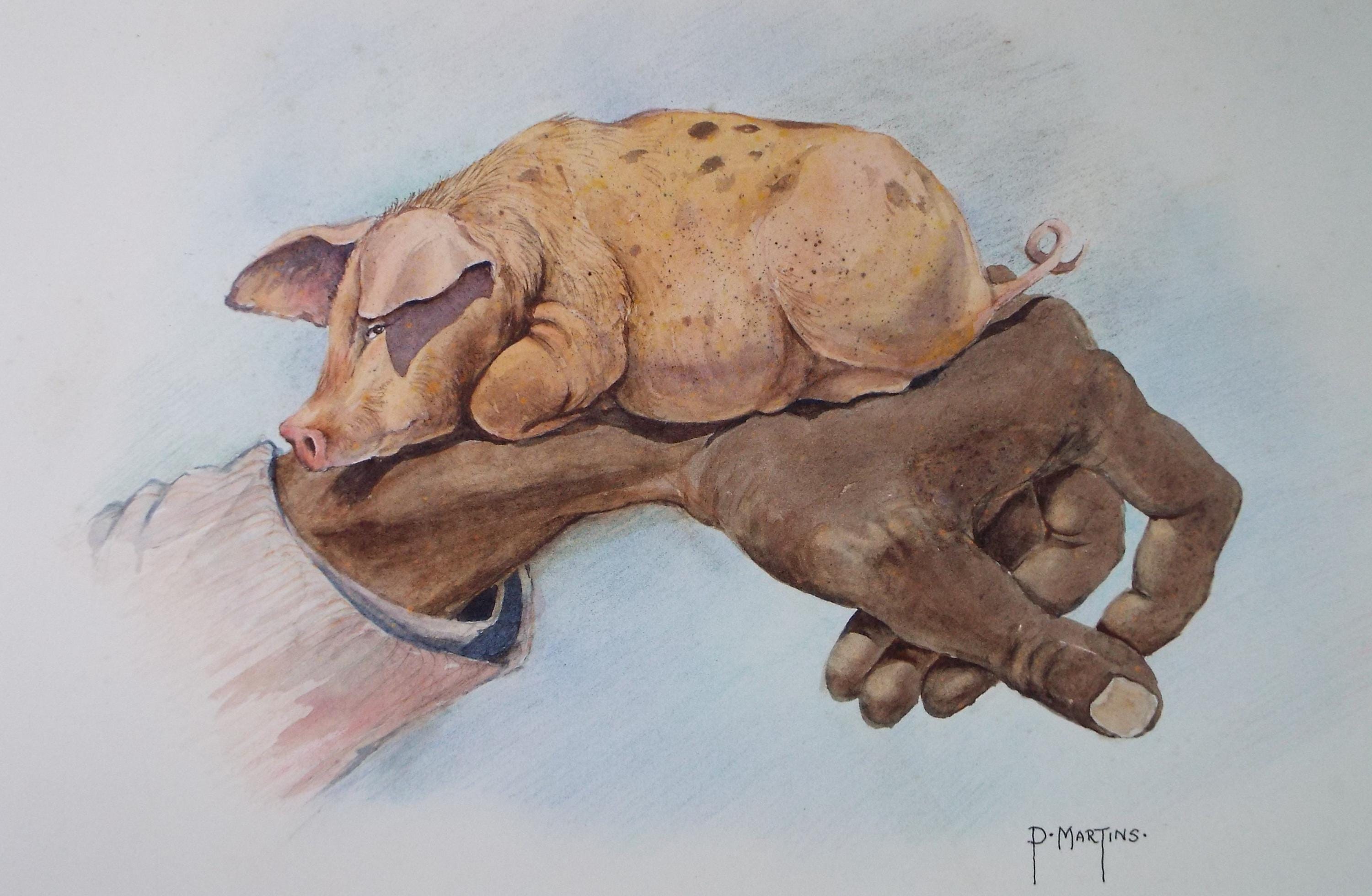 Original Watercolour ,'Little Pig', P Martins s.o.f.a, Dated 2002