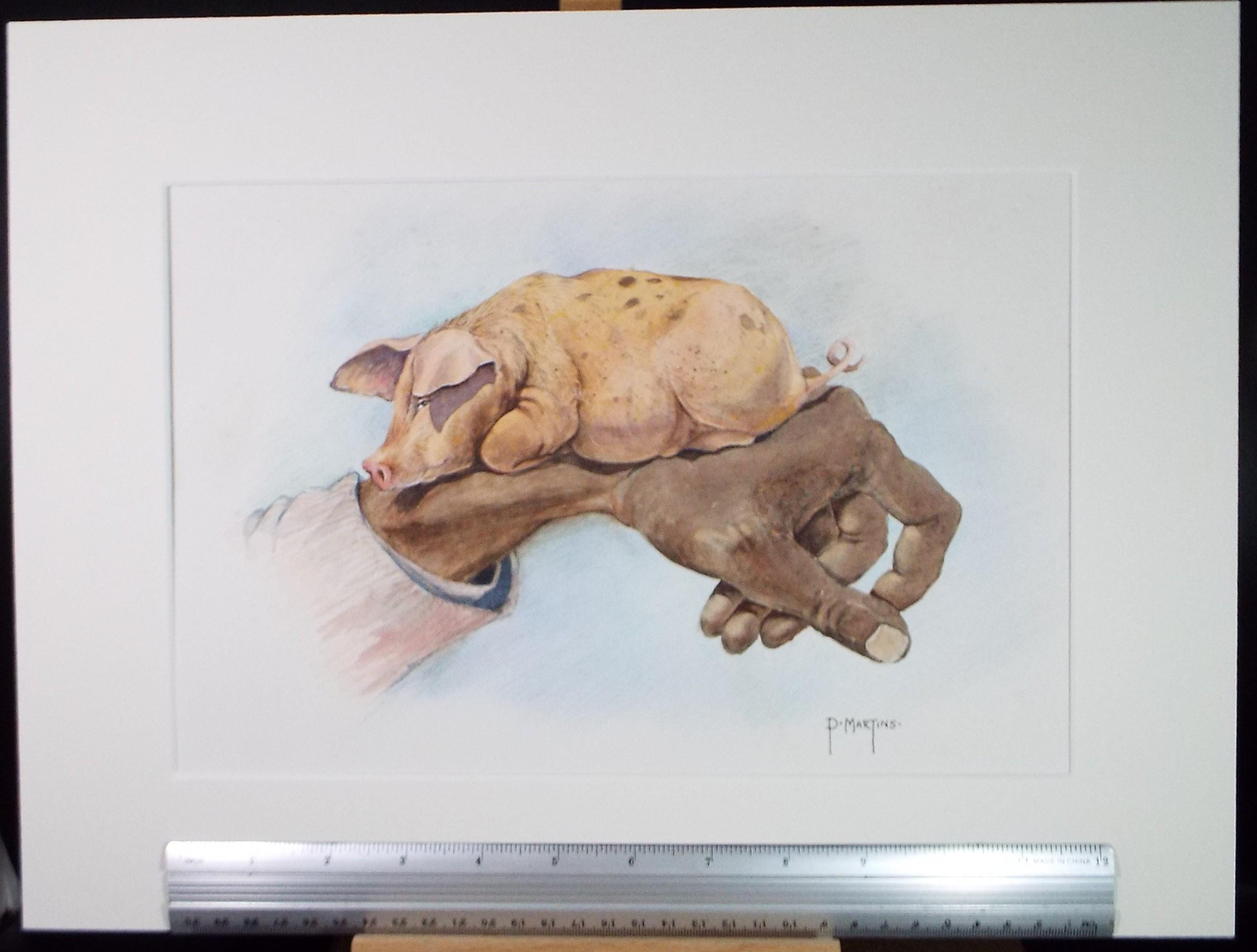 Original Watercolour ,'Little Pig', P Martins s.o.f.a, Dated 2002
