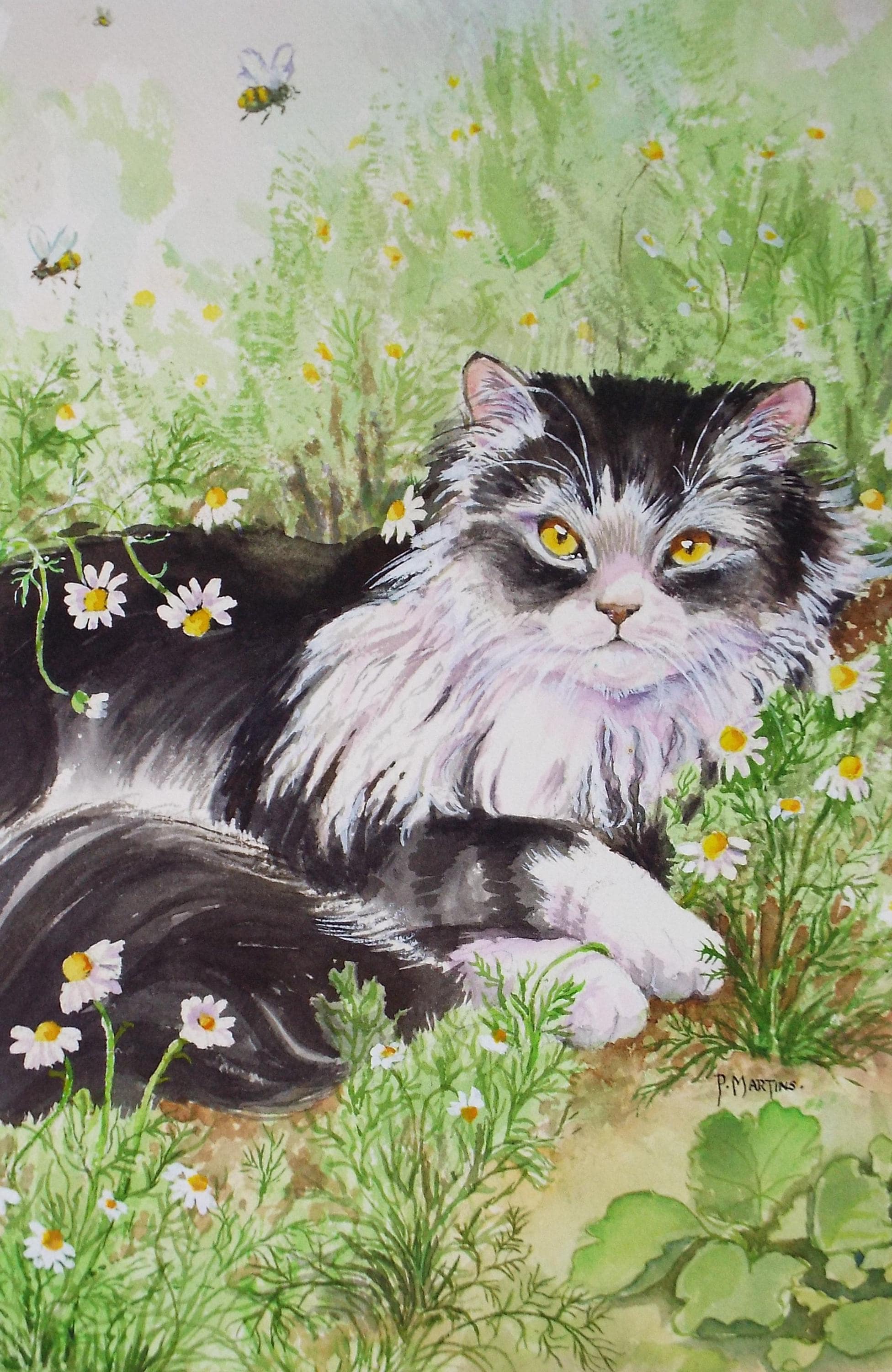 Original Watercolour, 'Panda',P Martins s.o.f.a, Circa 1990's