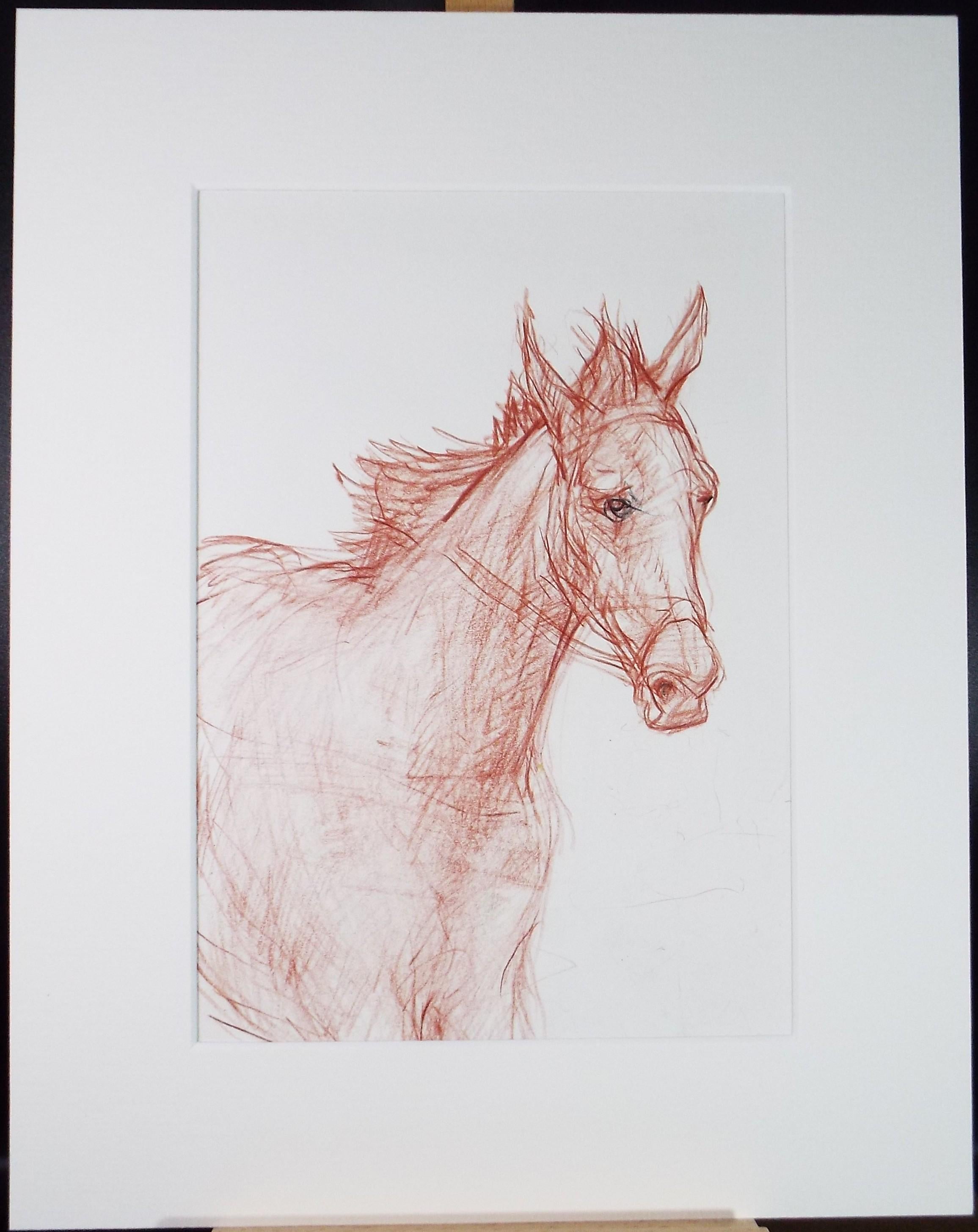 Original coloured pencil,'Horse', 2005, John Gilbey Bowles (1929-2011)