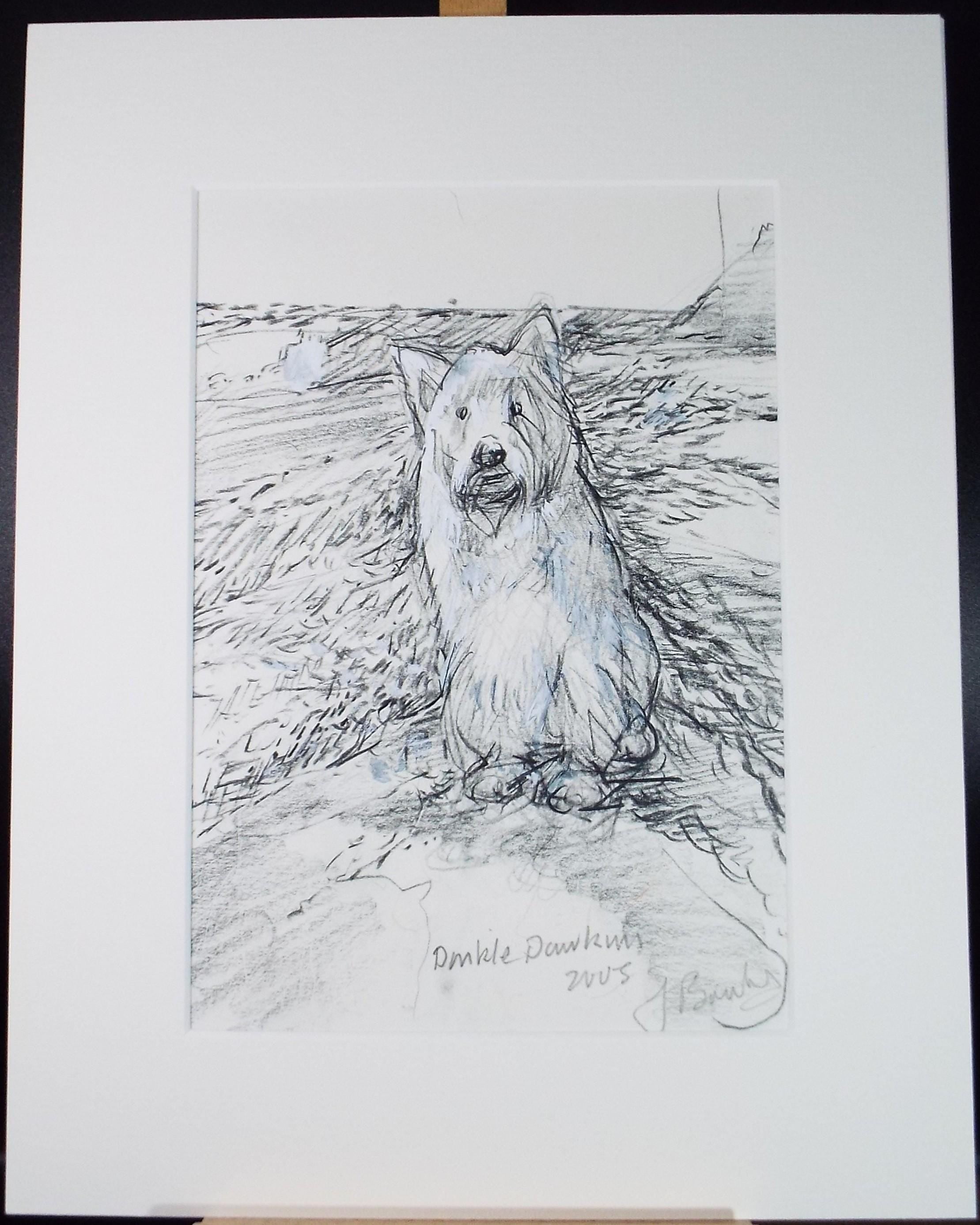 Original coloured pencil & Gouache,'Dinkle Dawkins', 2005, John Gilbey Bowles (1929-2011)