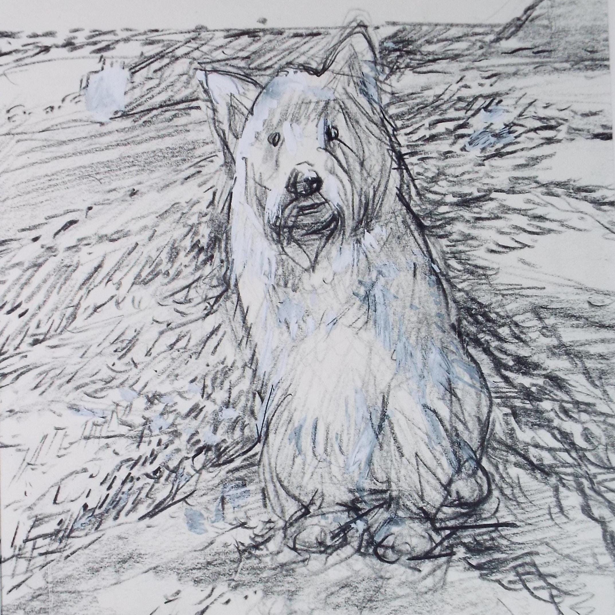 Original coloured pencil & Gouache,'Dinkle Dawkins', 2005, John Gilbey Bowles (1929-2011)