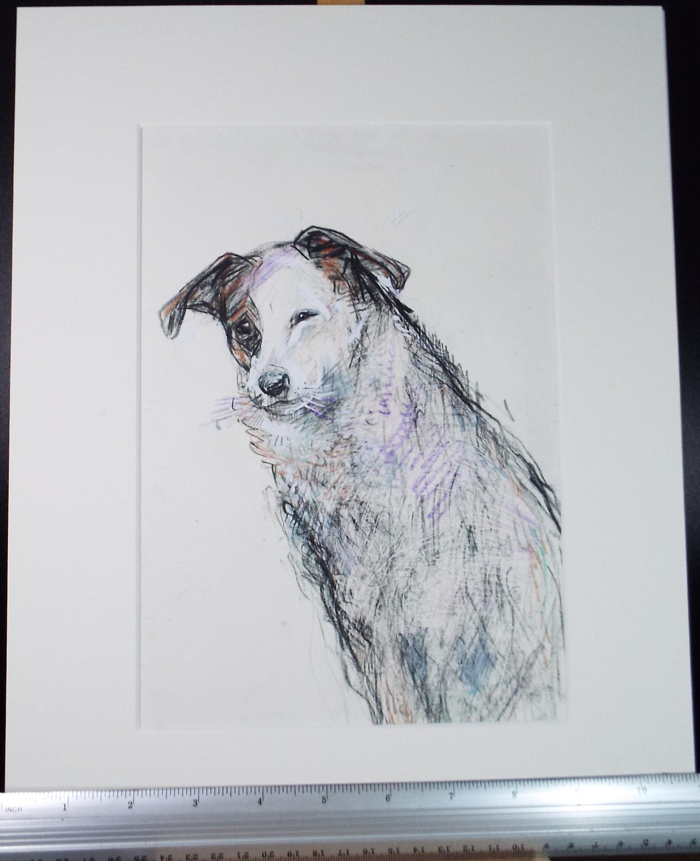 Original coloured pencil & Gouache,'Terrier', 2005, John Gilbey Bowles (1929-2011)