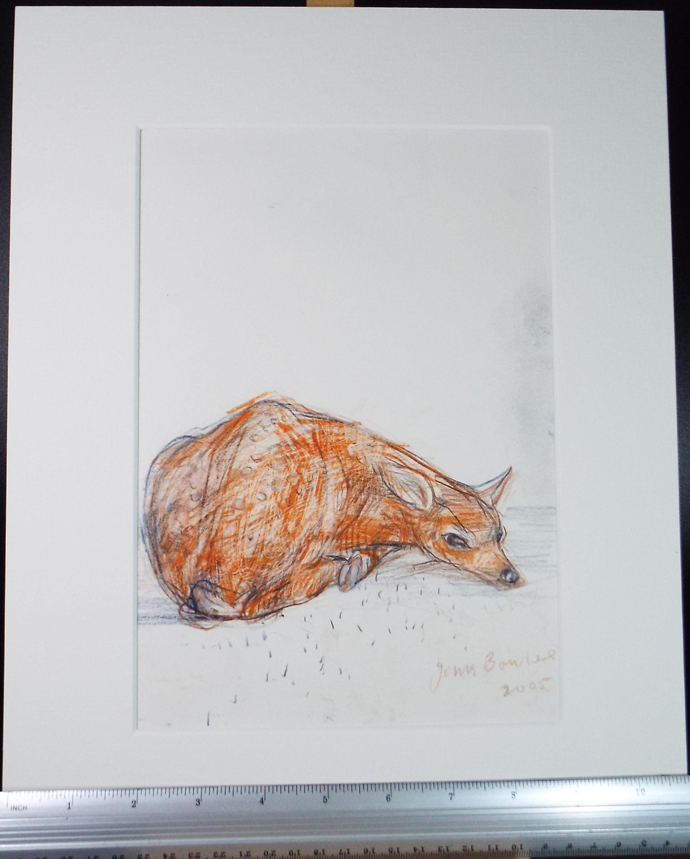 Original coloured pencil,'Fawn', 2005, John Gilbey Bowles (1929-2011)