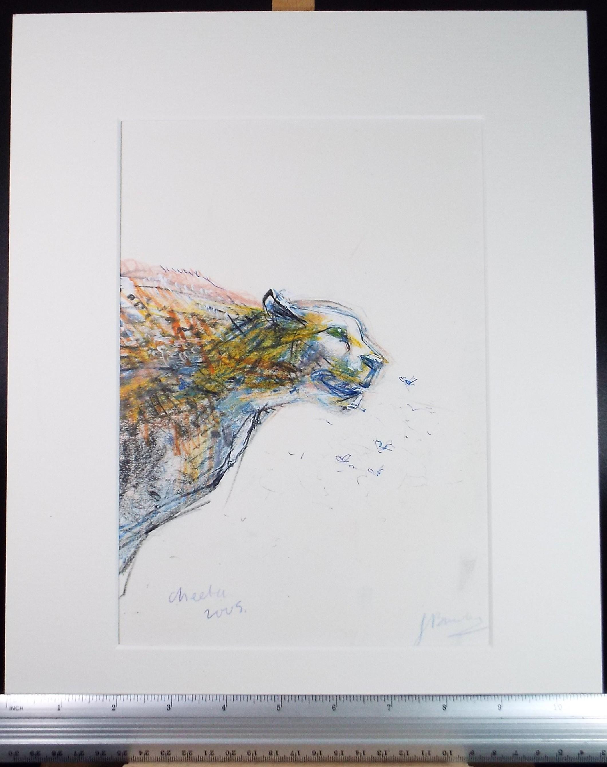 Original coloured pencil & Gouache,'Cheetah', 2005, John Gilbey Bowles (1929-2011)