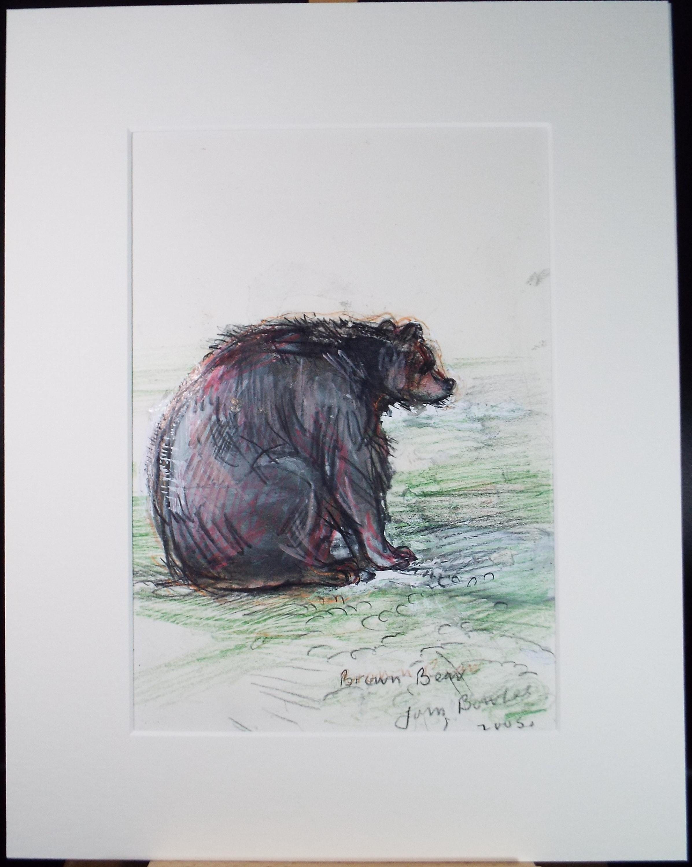 Original coloured pencil & Gouache,'Brown Bear', 2005, John Gilbey Bowles (1929-2011)
