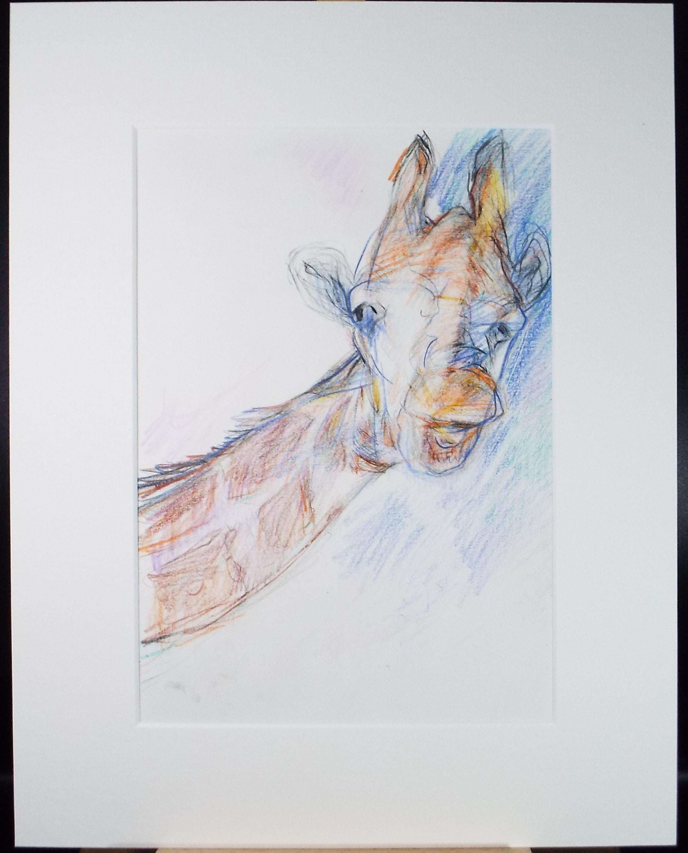 Original coloured pencil,'Giraffe', 2005, John Gilbey Bowles (1929-2011)