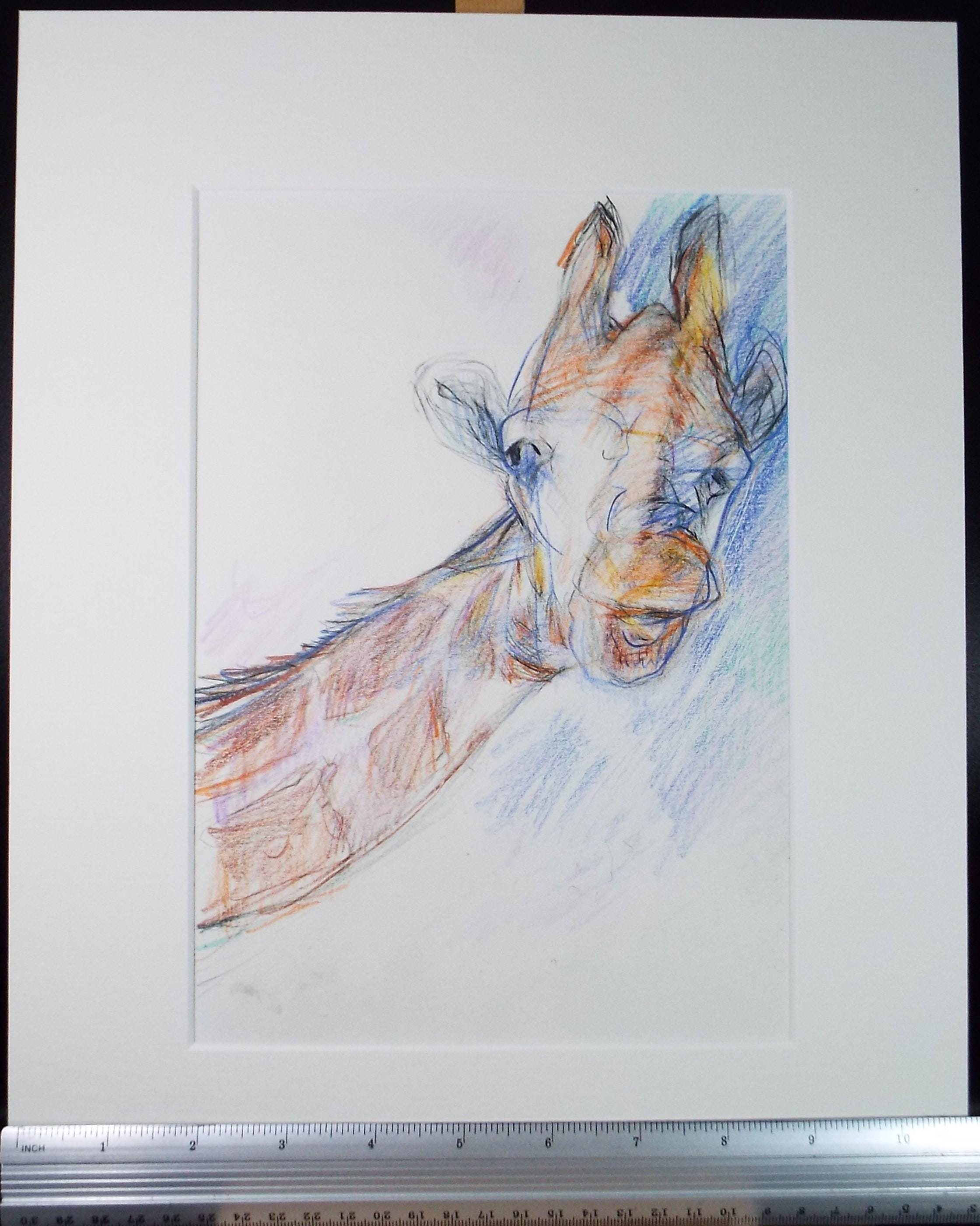 Original coloured pencil,'Giraffe', 2005, John Gilbey Bowles (1929-2011)