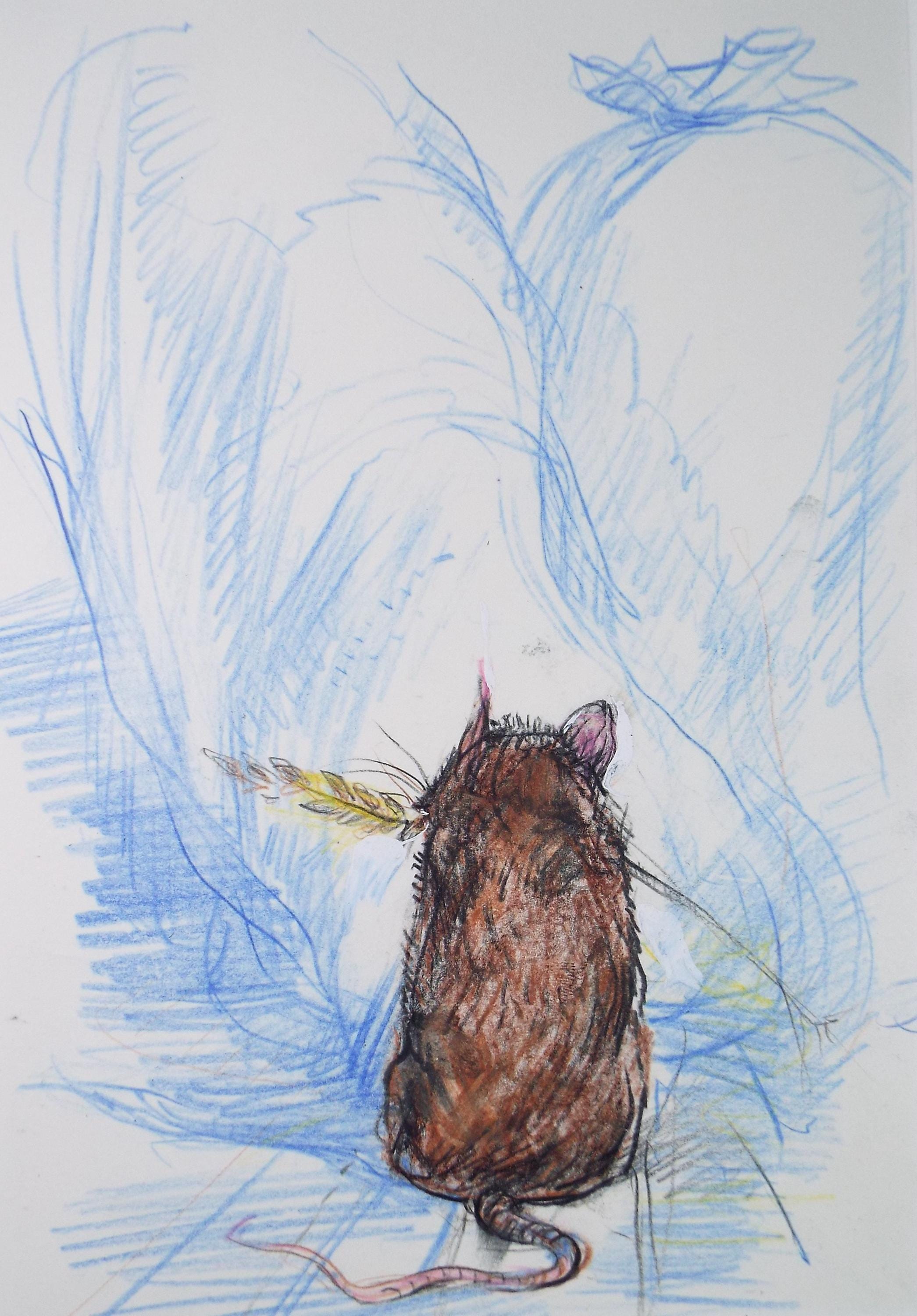Original coloured pencil & Gouache,'Harvest Mouse', 2005, John Gilbey Bowles (1929-2011)