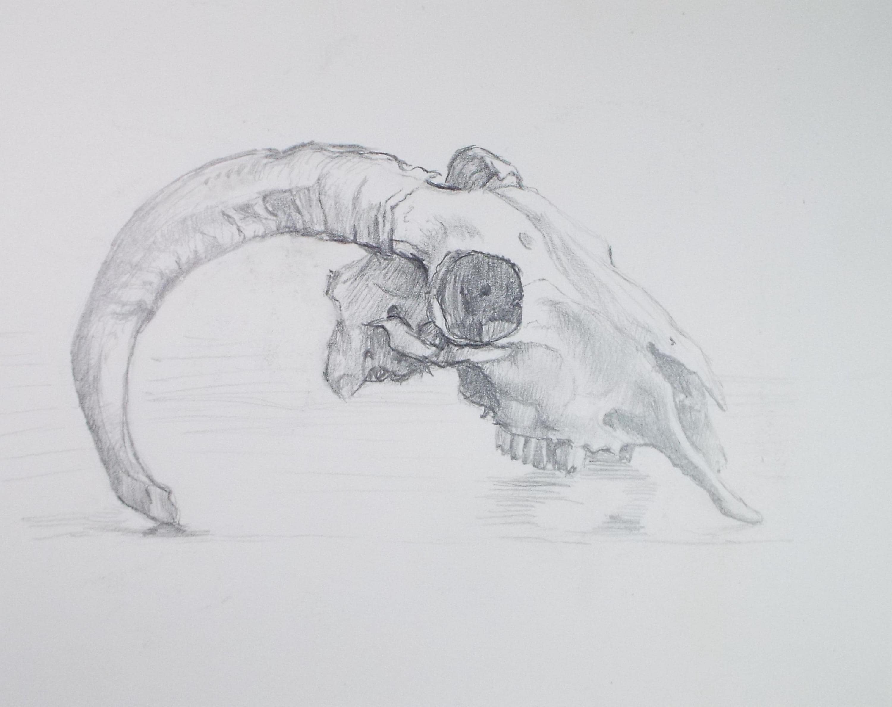 Original coloured pencil & Gouache,'Dinkle Dawkins', 2005, John Gilbey Bowles (1929-2011)