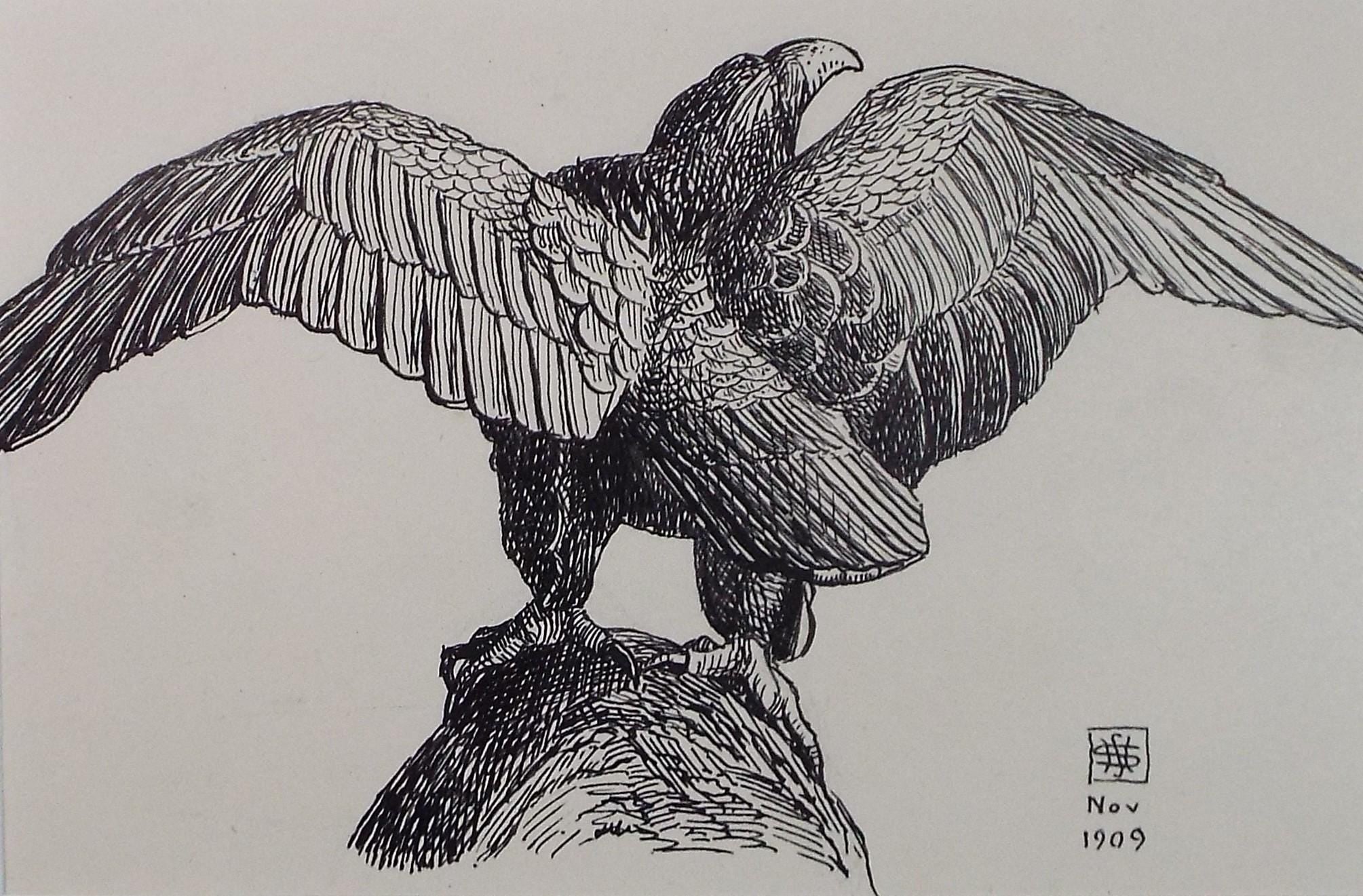 Original Pen & ink Sketch, 'Spread Eagle', S A Southern, Dated 1909